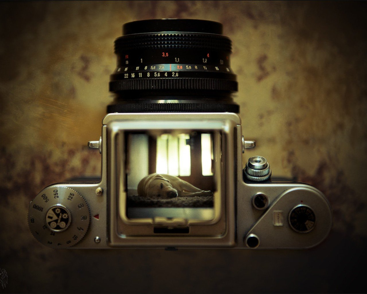 Free Camera high quality wallpaper ID:191094 for hd 1280x1024 PC