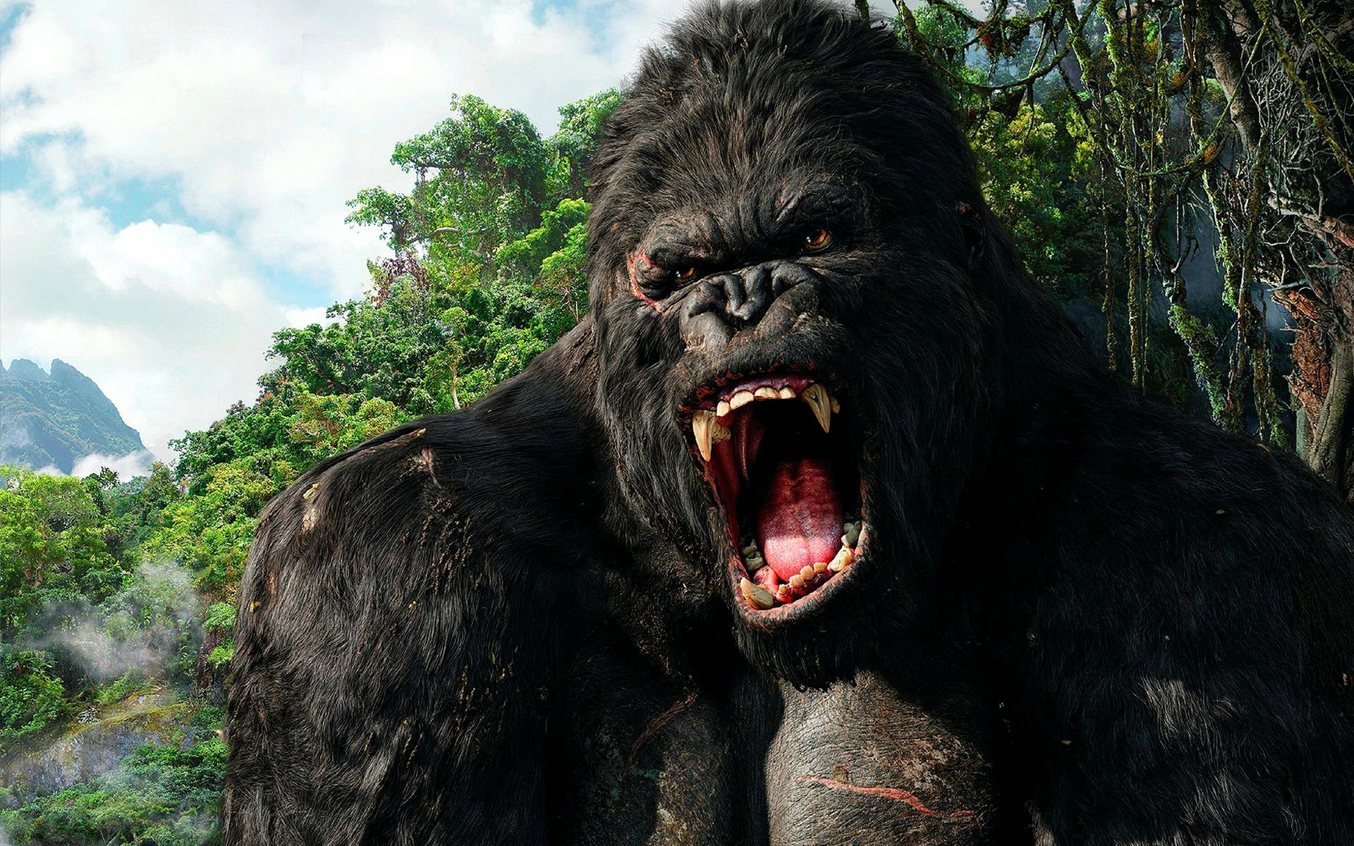 Best King Kong background ID:115421 for High Resolution hd 1920x1200 computer
