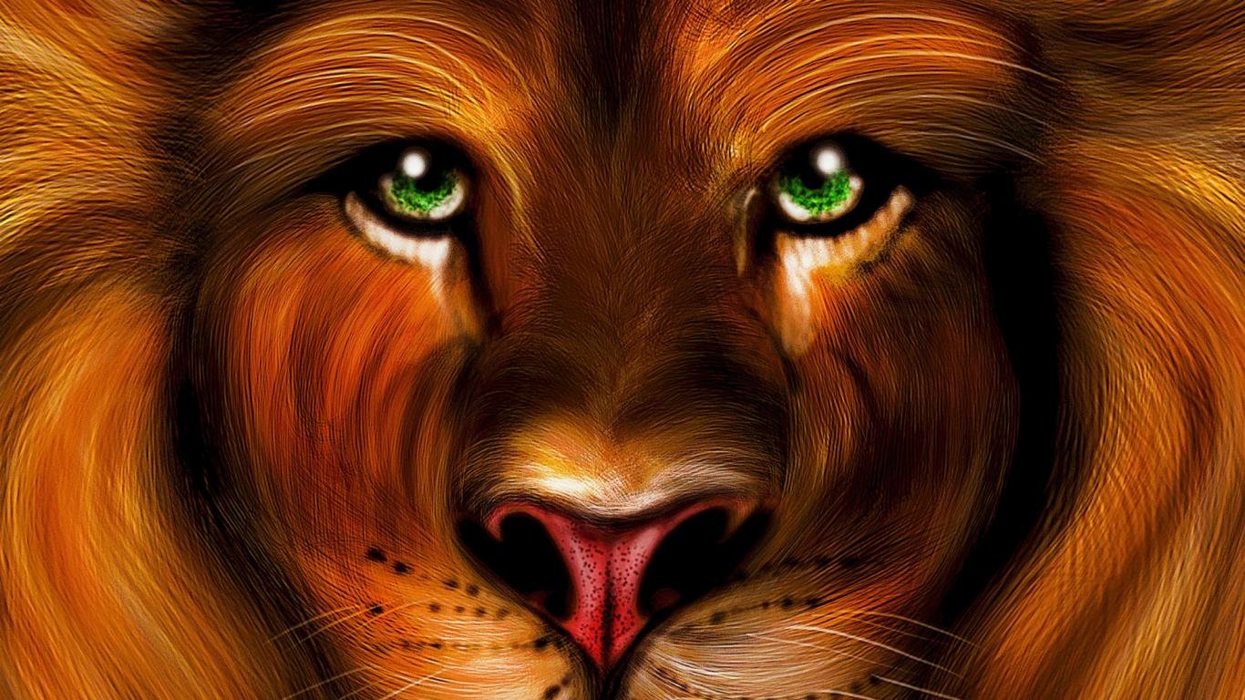 Awesome Lion free background ID:256057 for 1366x768 laptop computer
