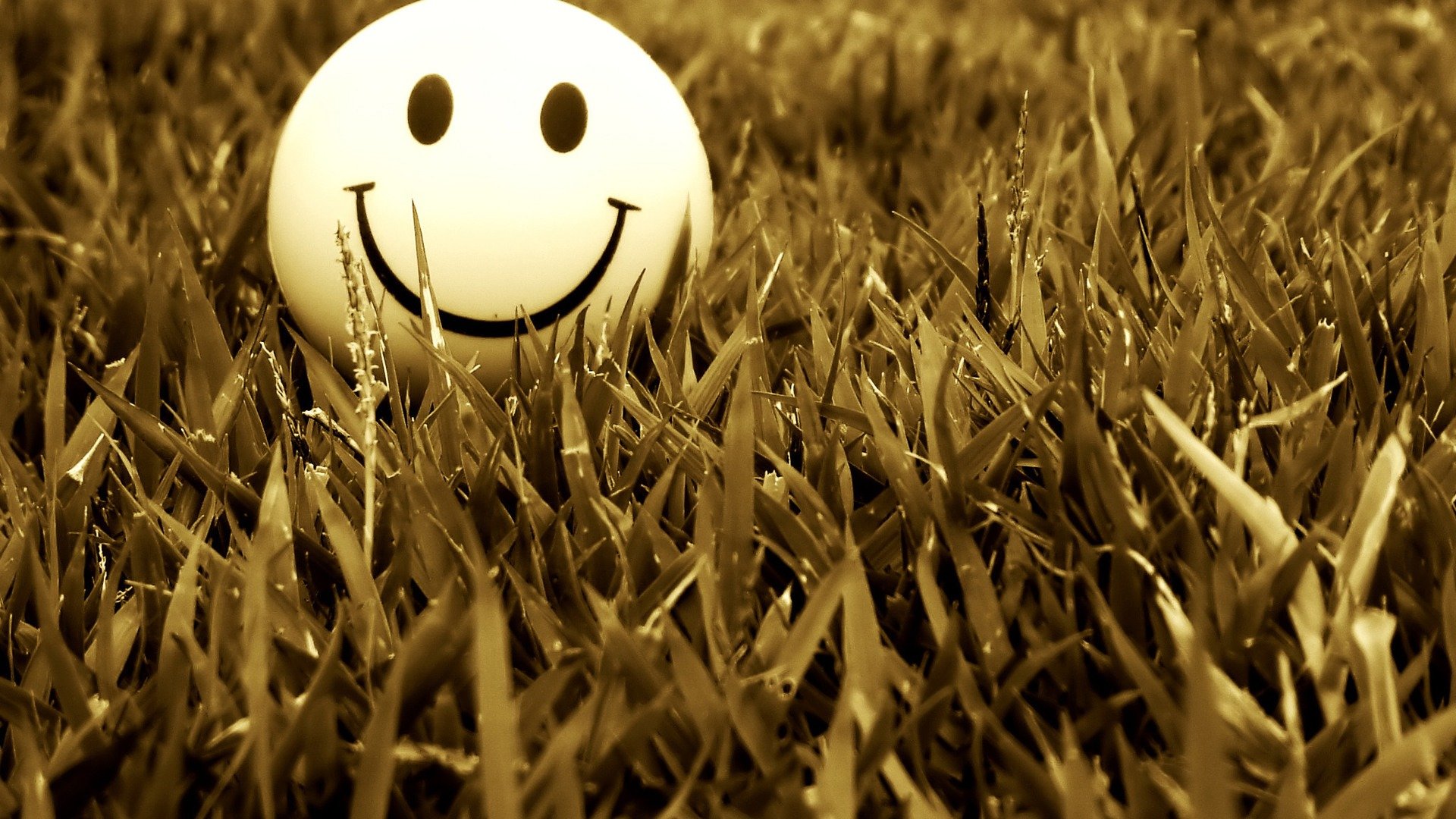 Best Smiley background ID:64297 for High Resolution 1080p computer