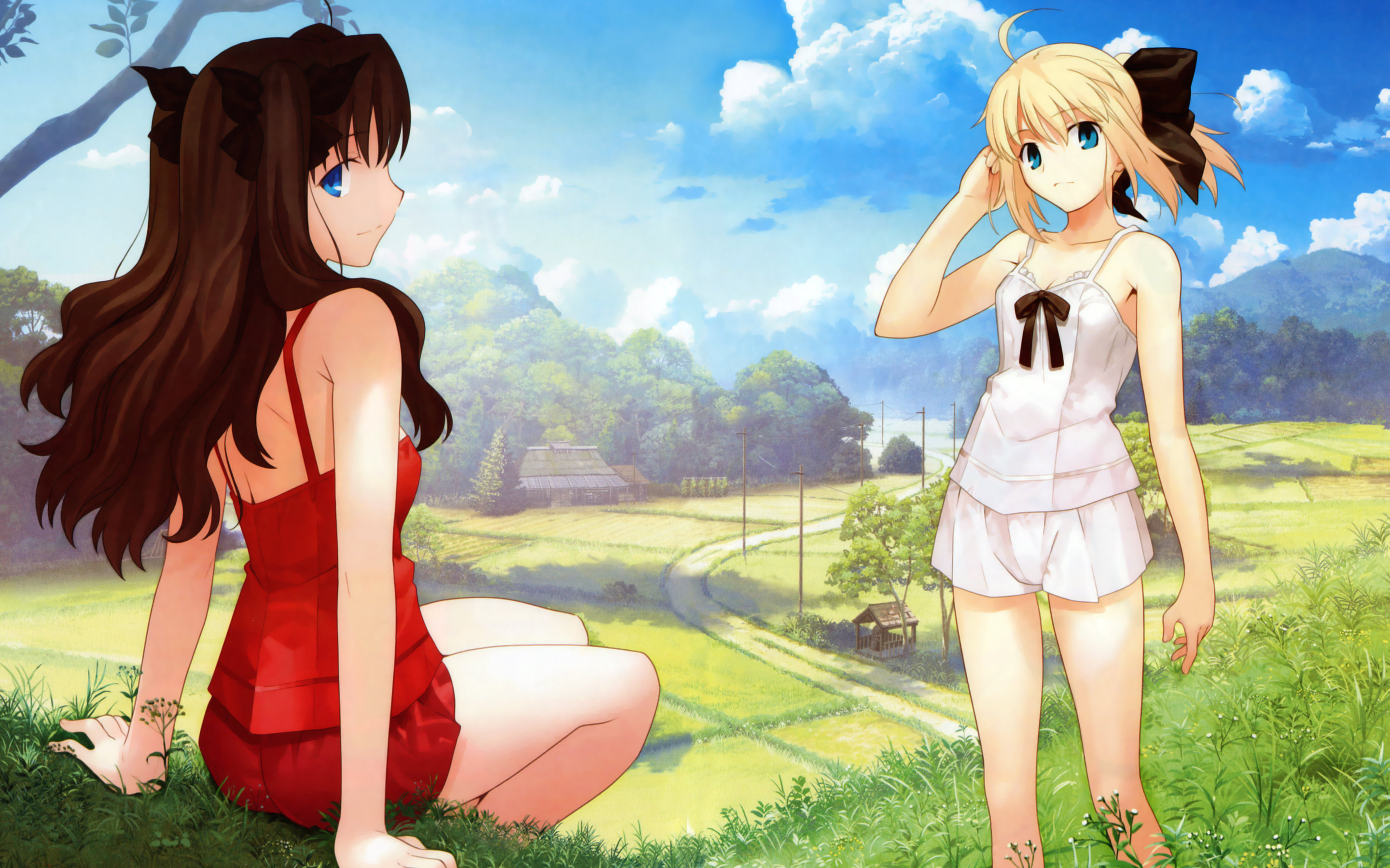 Free download Fate/Stay Night background ID:468742 hd 2880x1800 for desktop