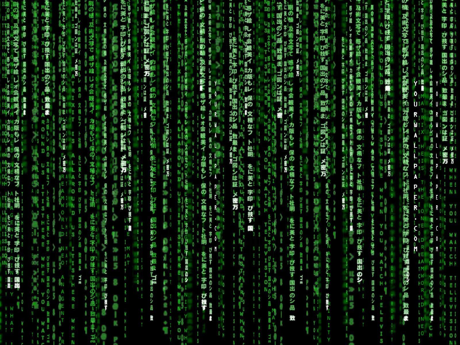 Best The Matrix background ID:323218 for High Resolution hd 1600x1200 computer