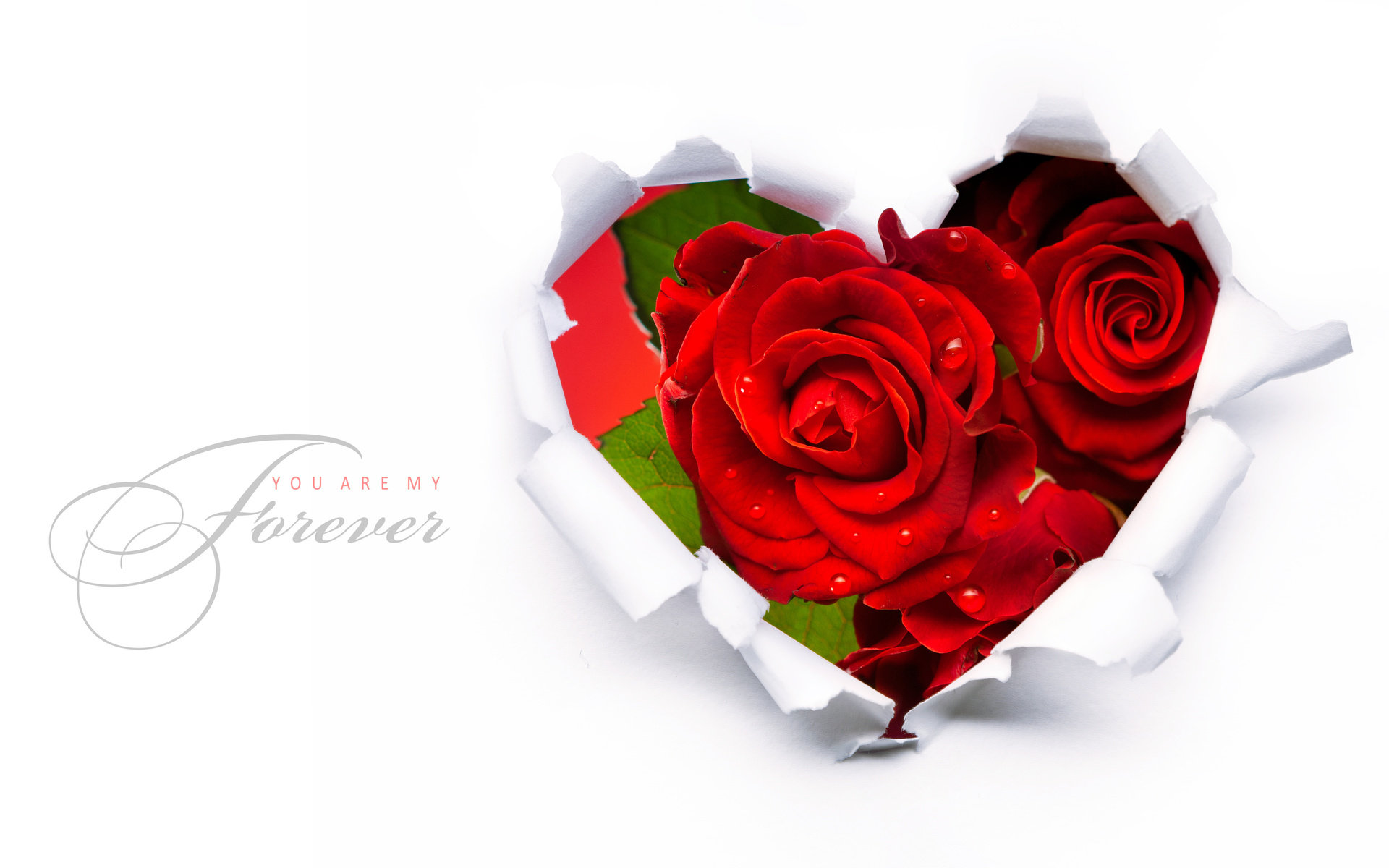 Best Valentine's Day wallpaper ID:373047 for High Resolution hd 1920x1200 desktop