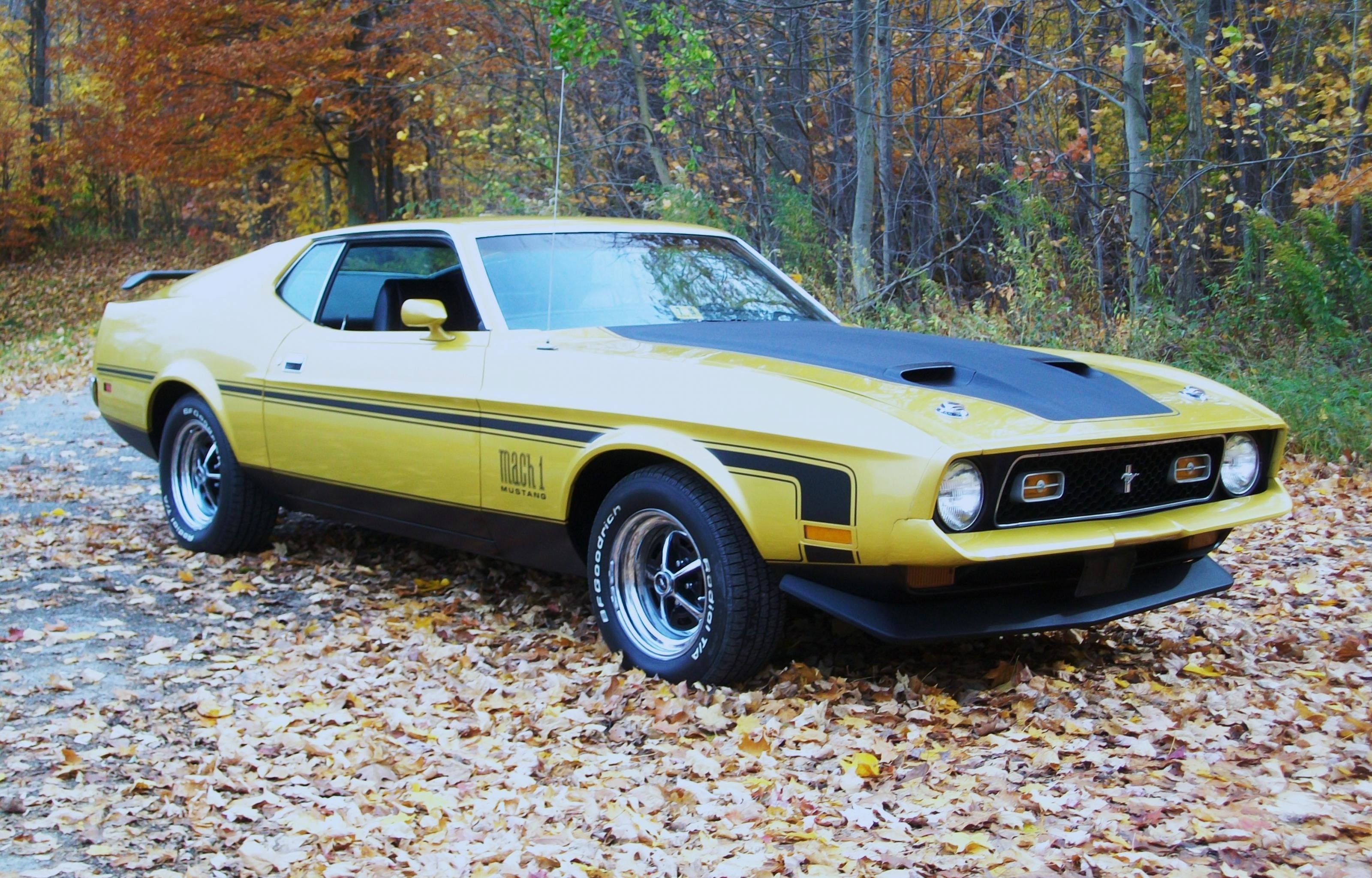 Free Ford Mustang Mach 1 high quality background ID:394067 for hd 3200x2048 computer