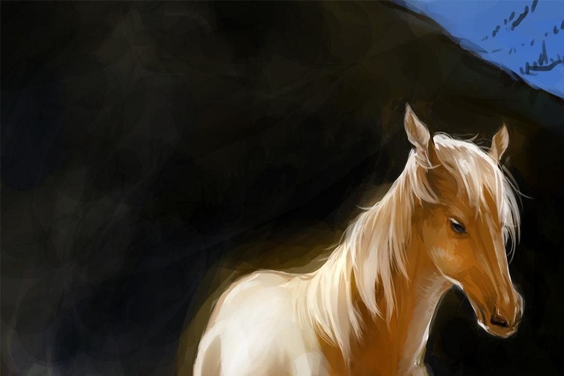 Awesome Horse free background ID:24265 for hd 1152x768 desktop