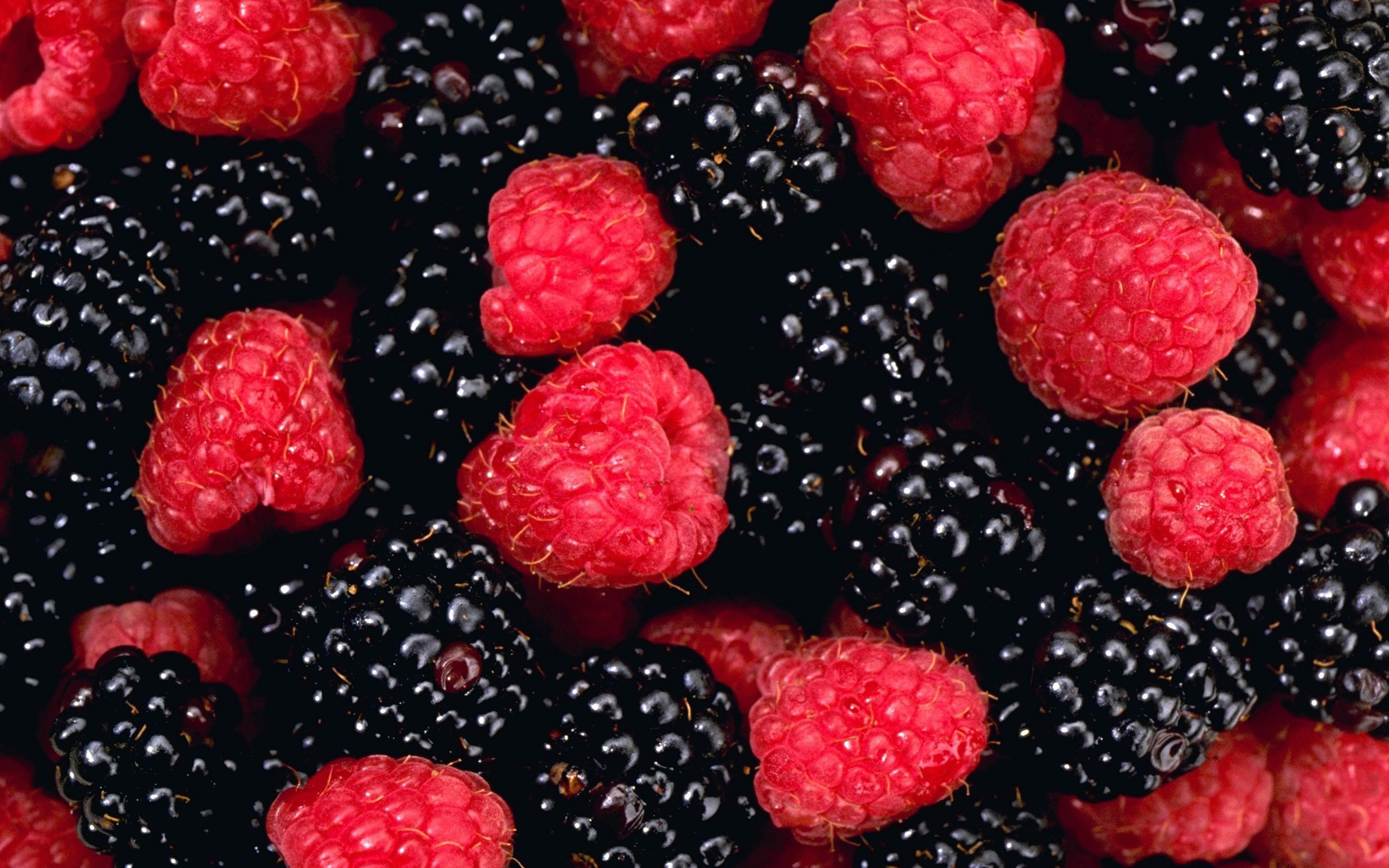 Awesome Berry free background ID:178306 for hd 2560x1600 desktop