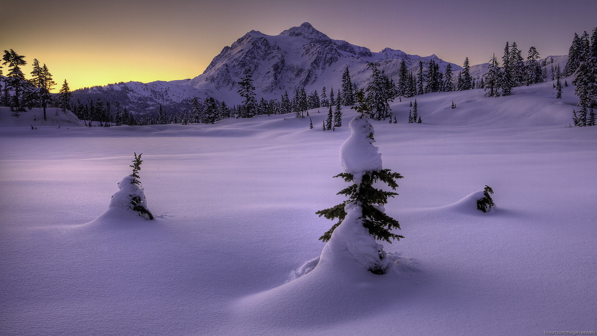Awesome Winter free wallpaper ID:252605 for full hd 1080p computer