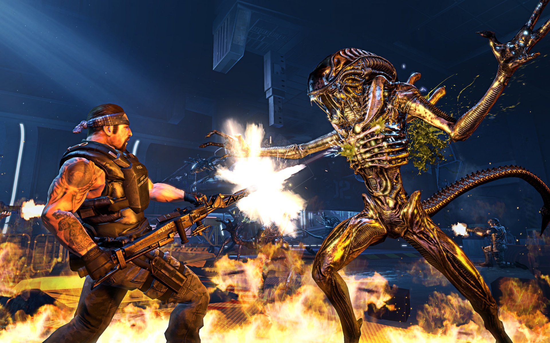 Free download Aliens: Colonial Marines background ID:276109 hd 1920x1200 for PC