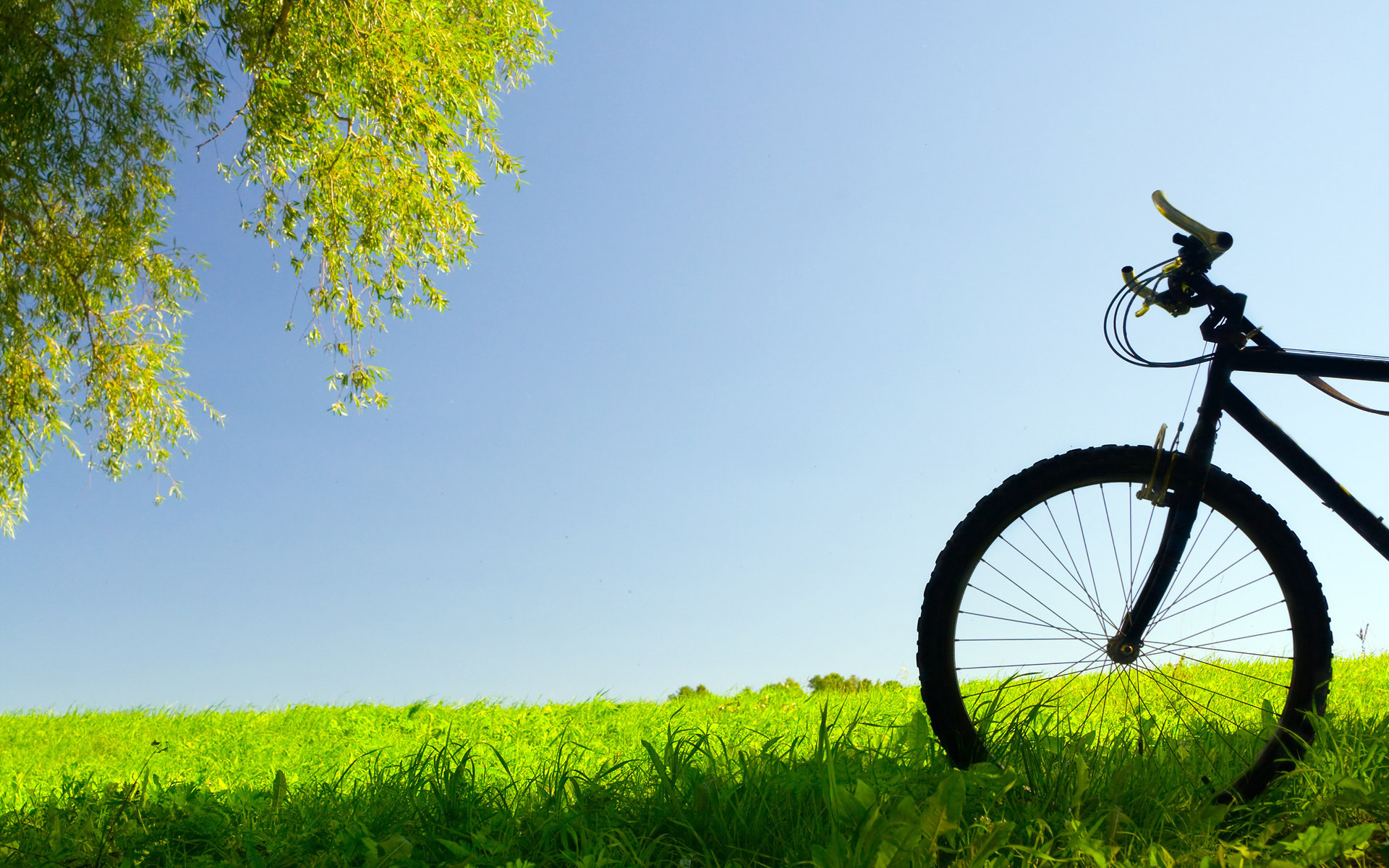 Best Bicycle wallpaper ID:134920 for High Resolution hd 1920x1200 desktop