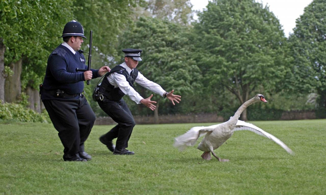 Awesome Hot Fuzz free wallpaper ID:155659 for hd 1280x768 computer