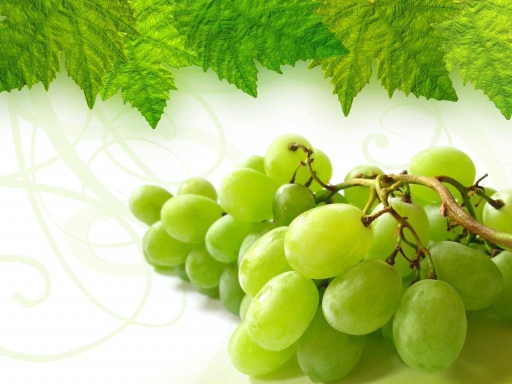 Free Grapes high quality background ID:420725 for hd 1024x768 computer