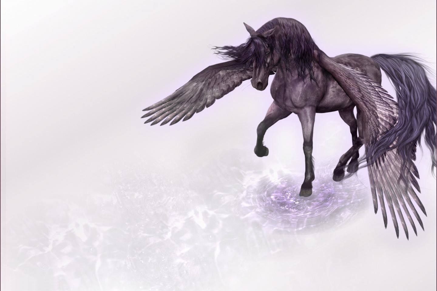 High resolution Pegasus hd 1440x960 background ID:270848 for PC