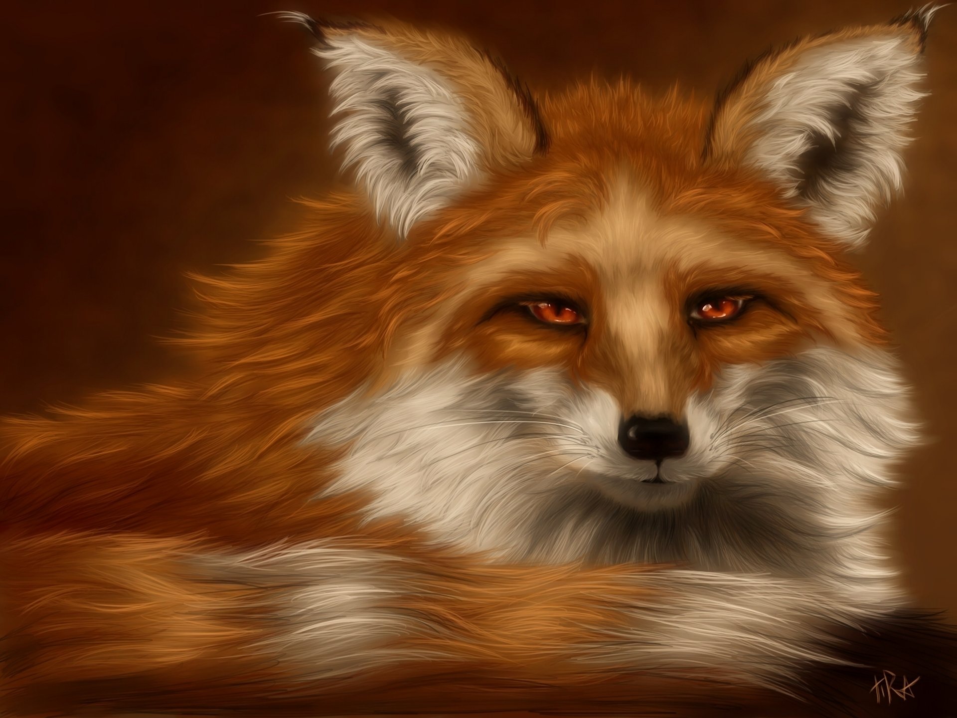 Best Fox background ID:58709 for High Resolution hd 1920x1440 computer