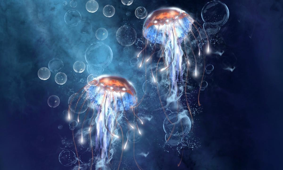 Free Jellyfish high quality background ID:199663 for hd 1200x720 computer