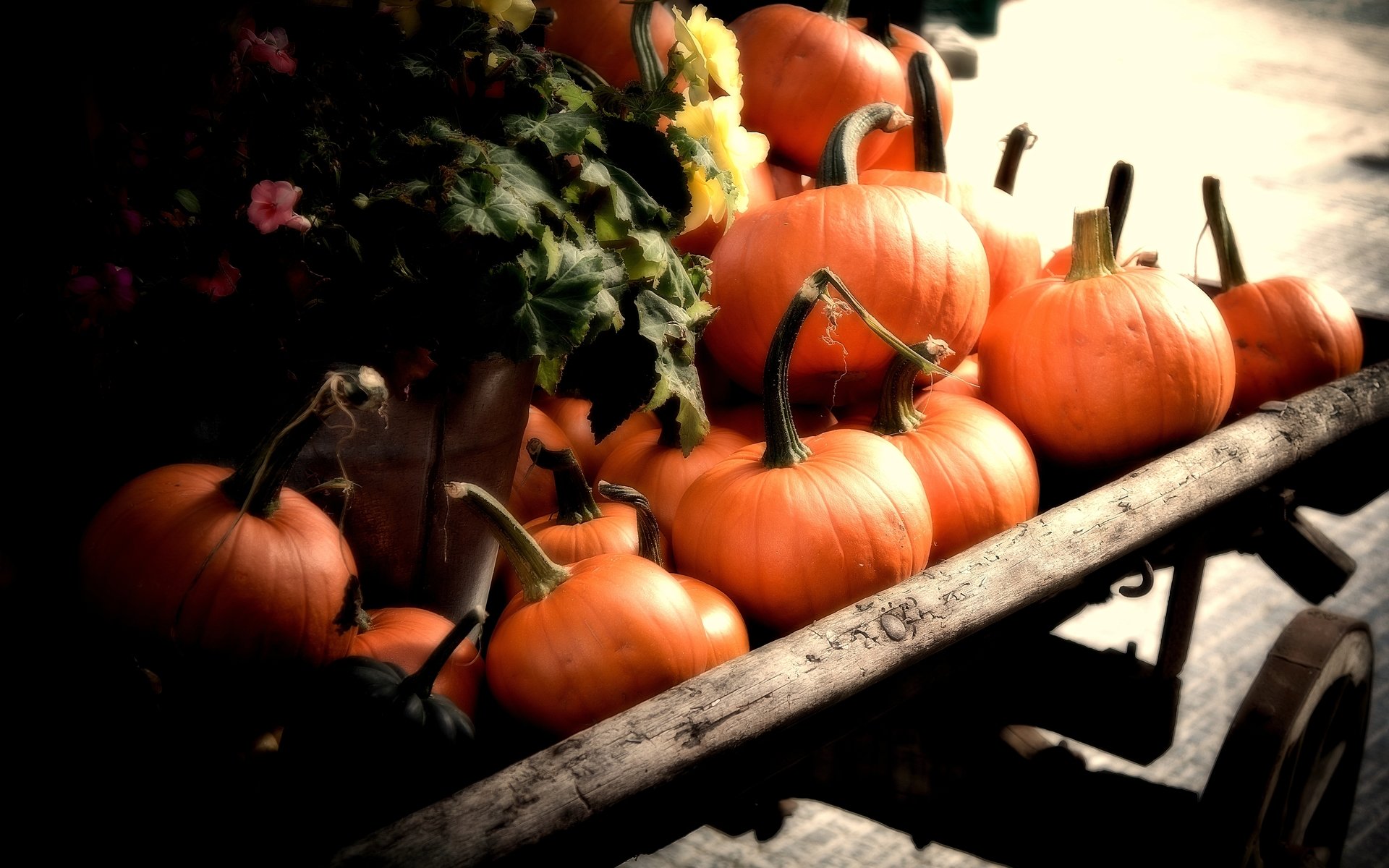 Awesome Pumpkin free wallpaper ID:194476 for hd 1920x1200 computer