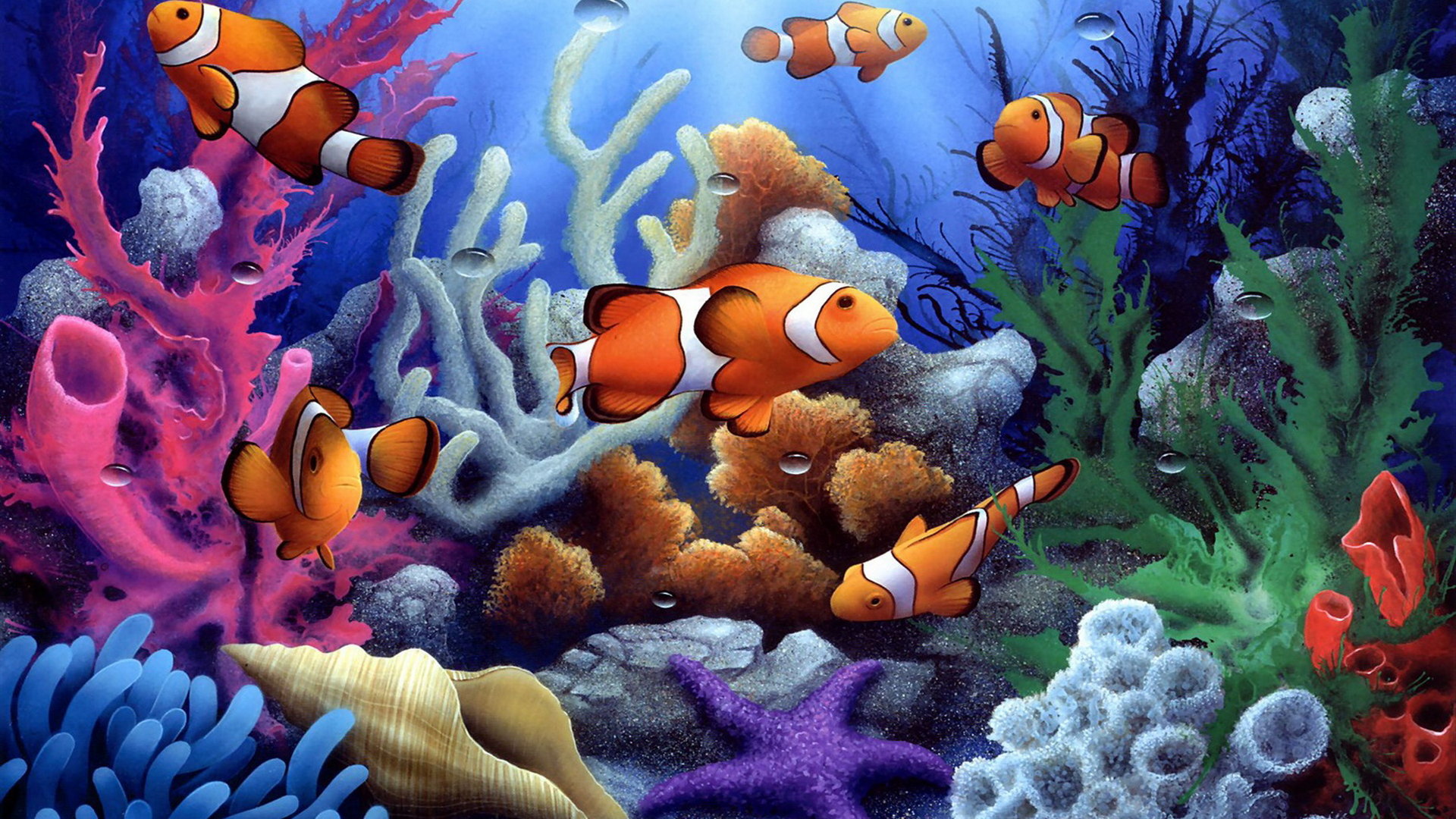 Best Clownfish wallpaper ID:53234 for High Resolution hd 1920x1080 computer