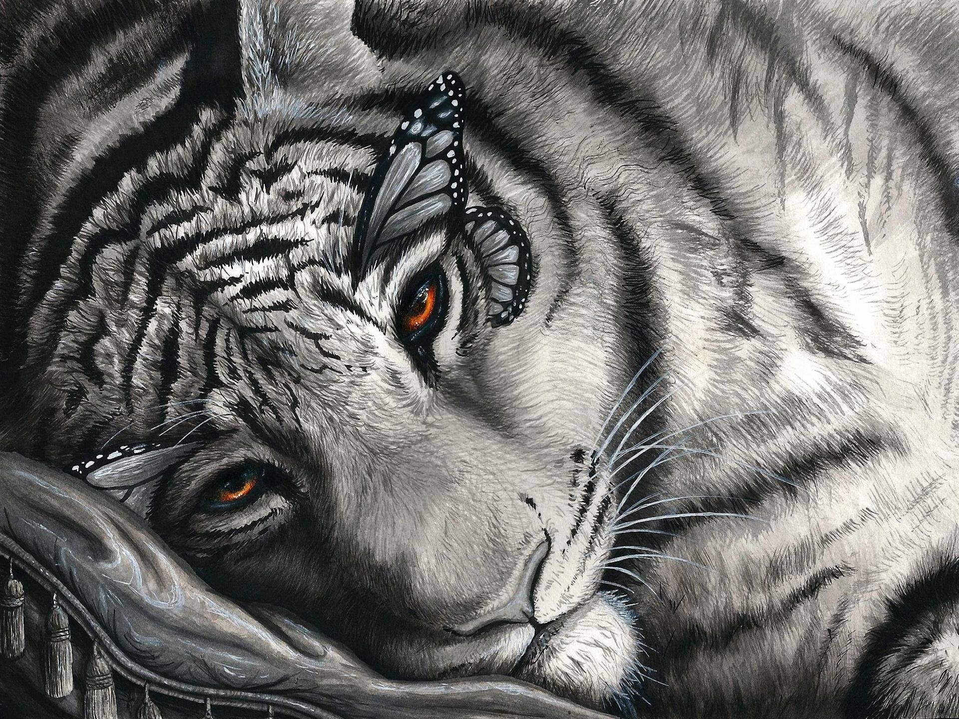 Awesome White Tiger free wallpaper ID:174930 for hd 1920x1440 computer
