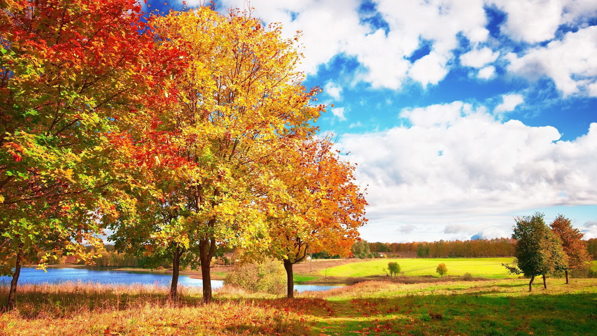 High resolution Fall full hd background ID:21286 for desktop