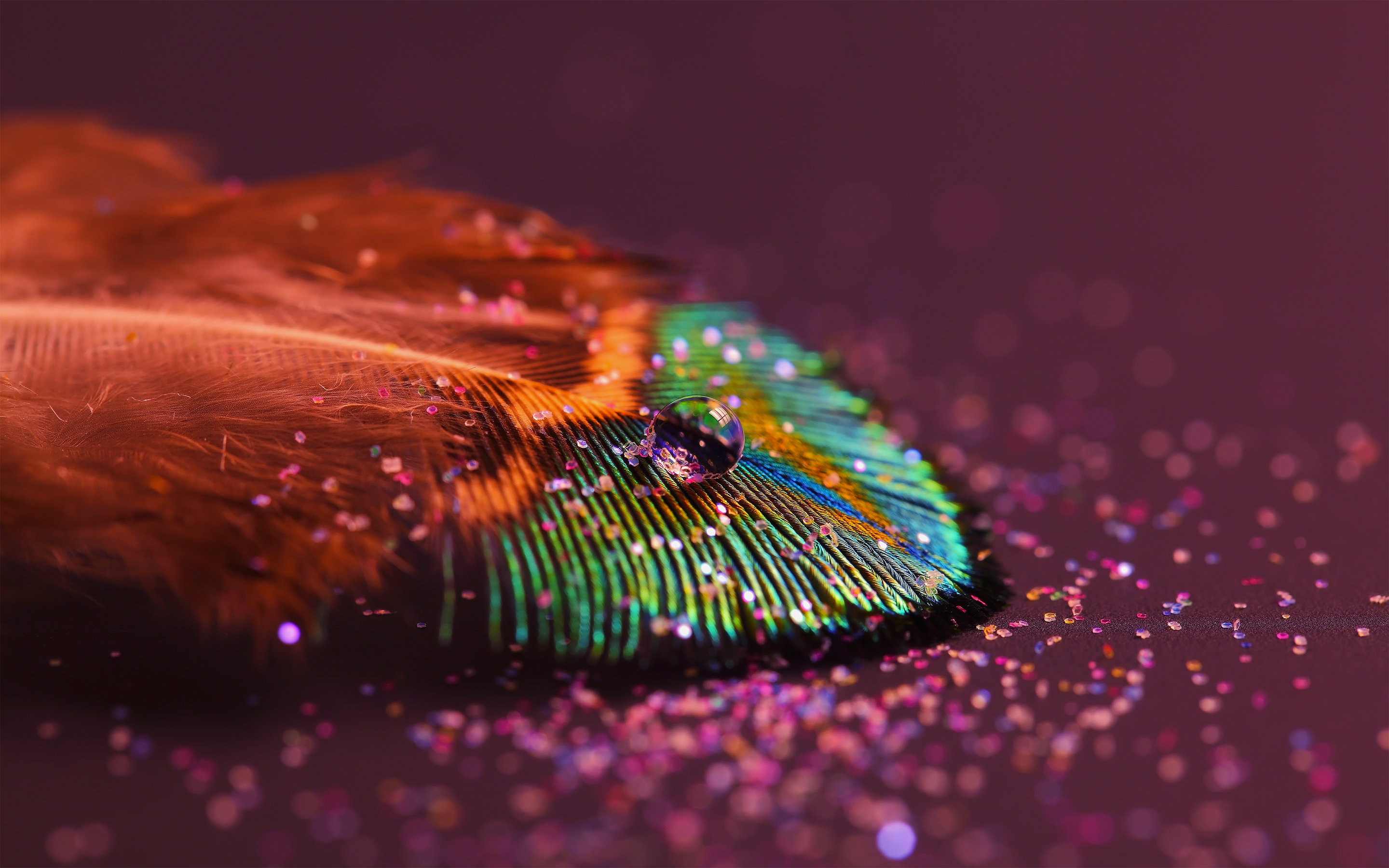 Free Feather high quality wallpaper ID:460548 for hd 2880x1800 PC