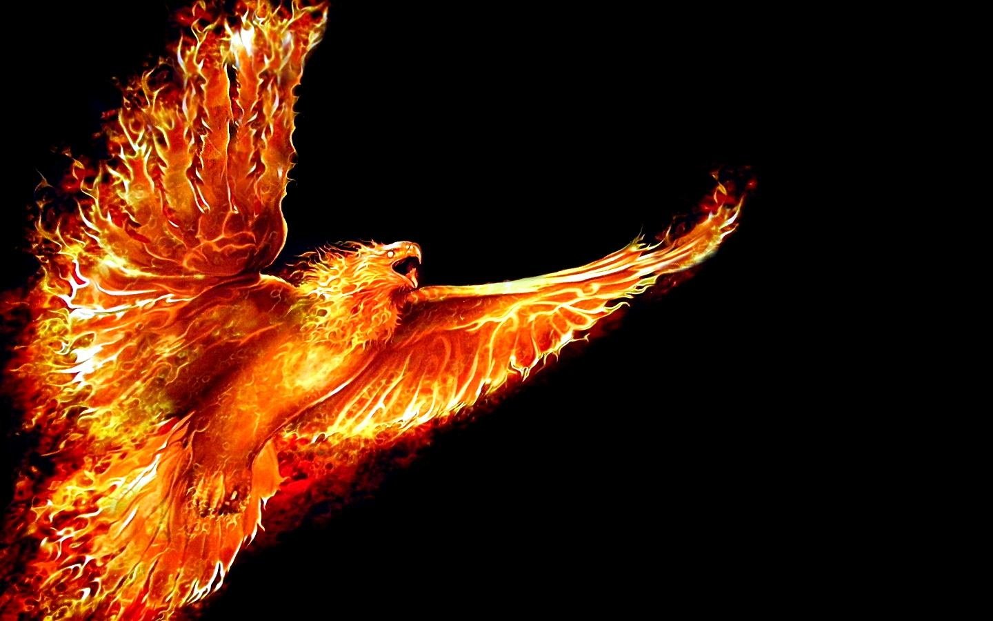 Free download Phoenix background ID:100488 hd 1440x900 for computer
