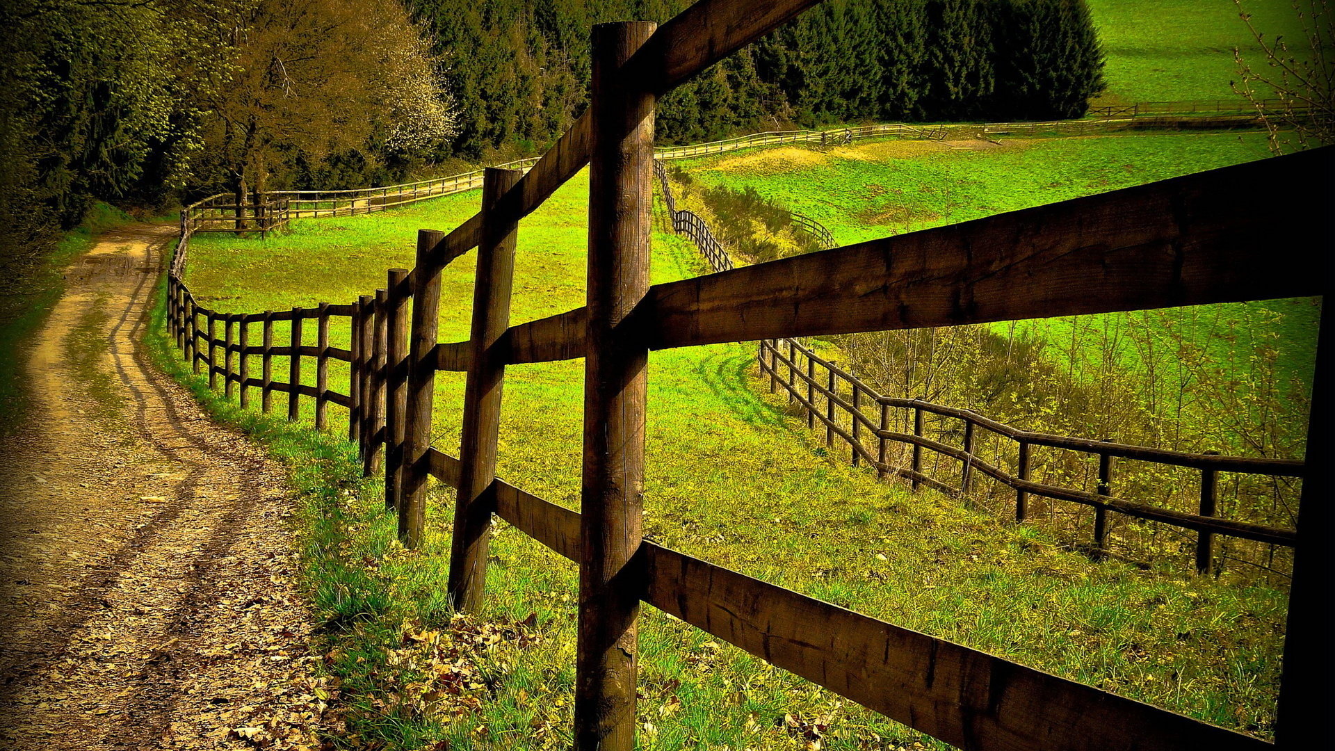 High resolution Fence full hd 1080p wallpaper ID:22954 for computer