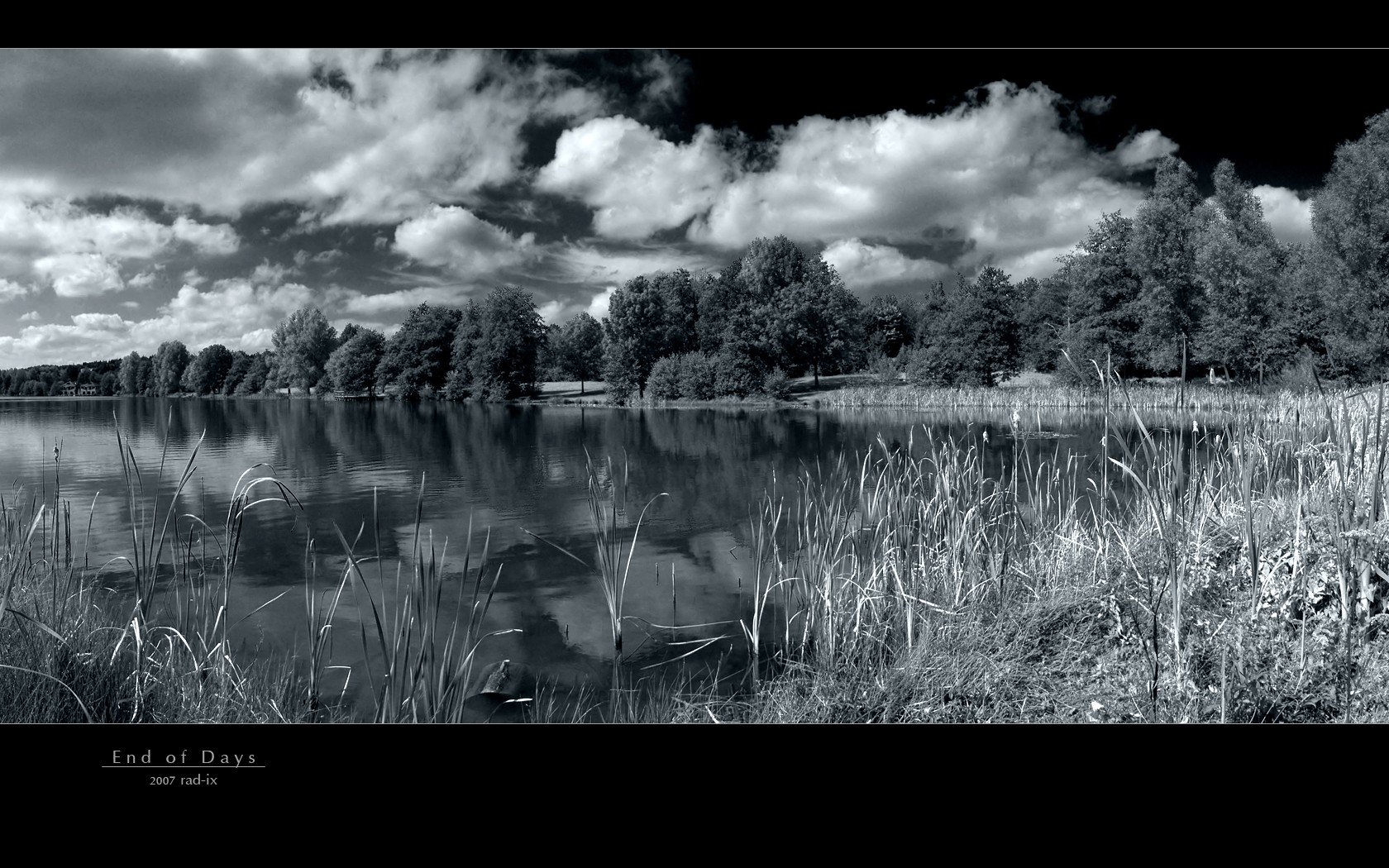 Free Black and White high quality background ID:292066 for hd 1680x1050 desktop