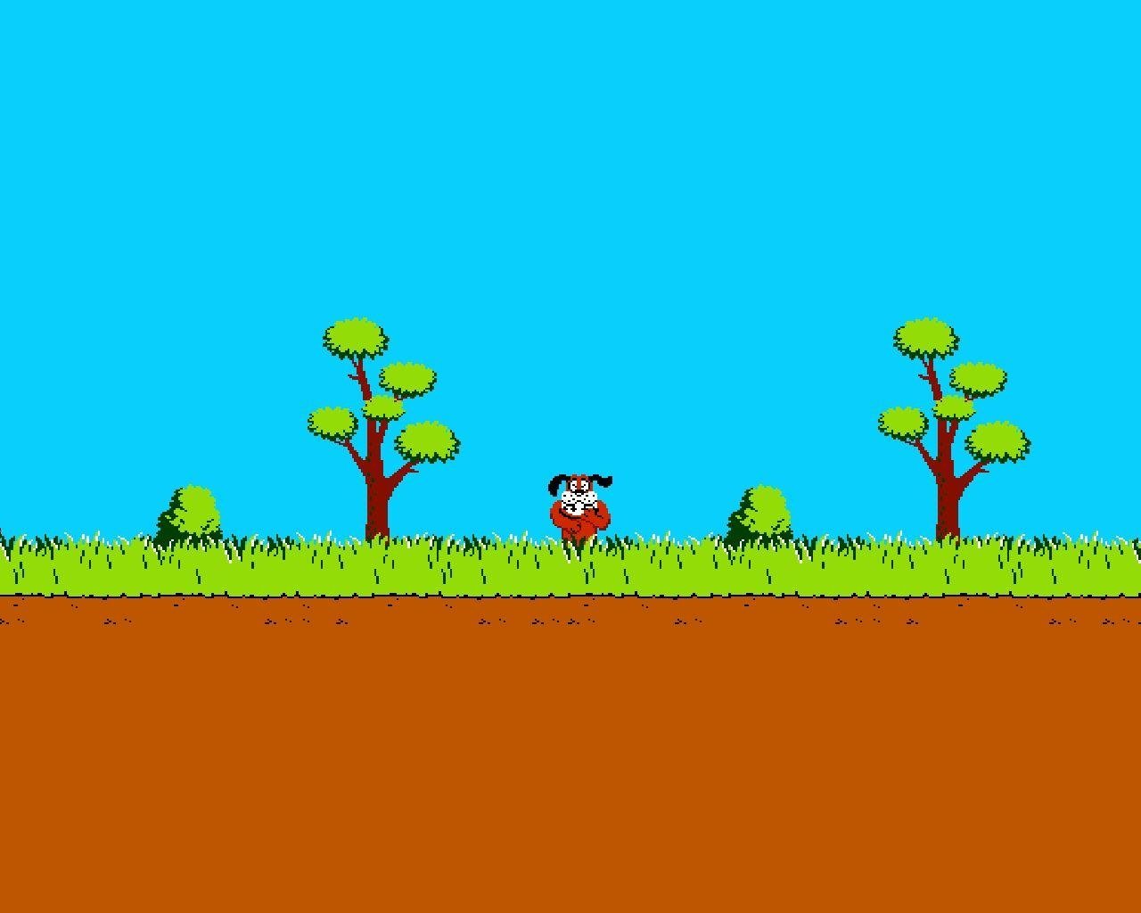 Free Duck Hunt high quality background ID:130556 for hd 1280x1024 PC