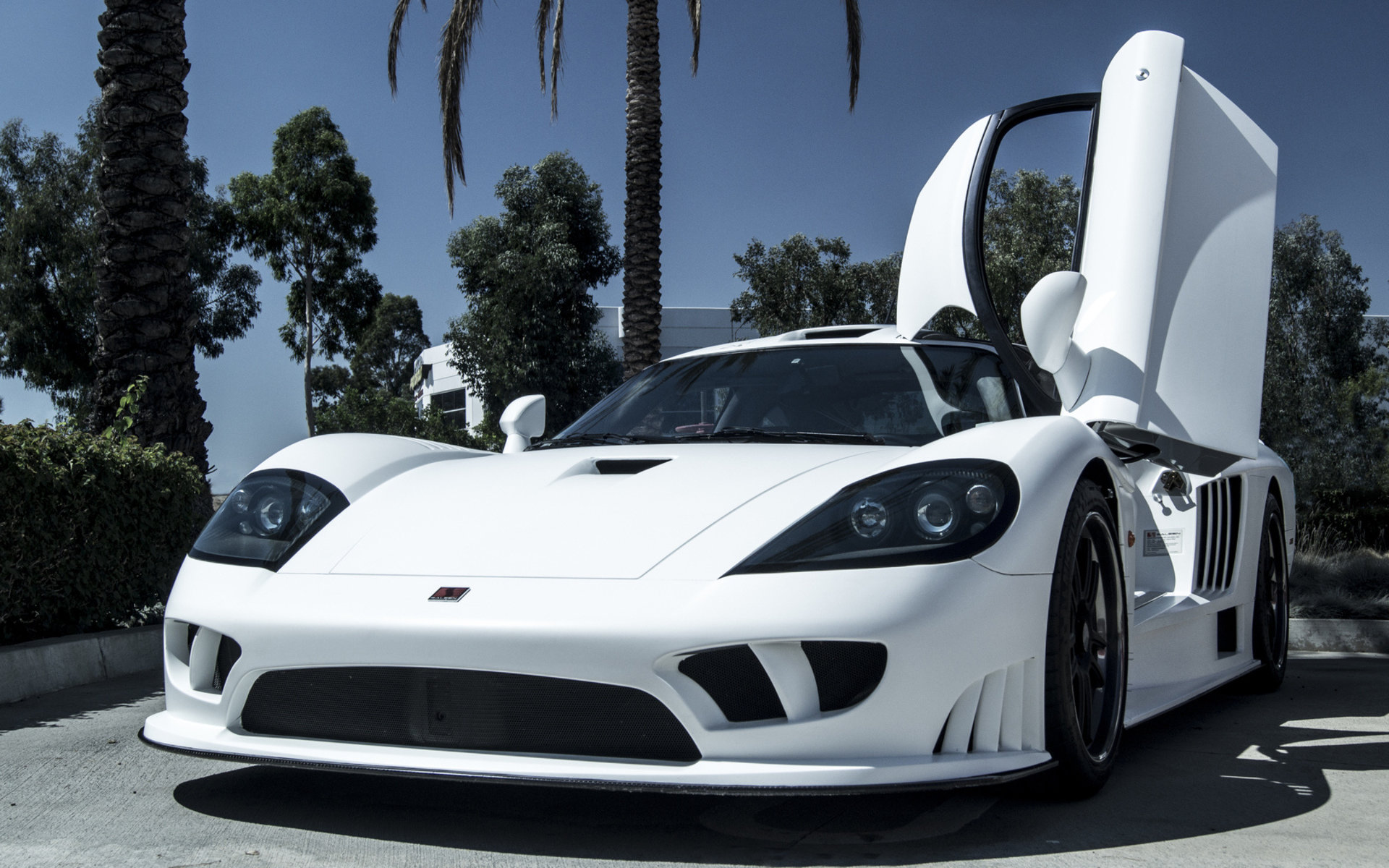 Free Saleen high quality background ID:110649 for hd 1920x1200 PC