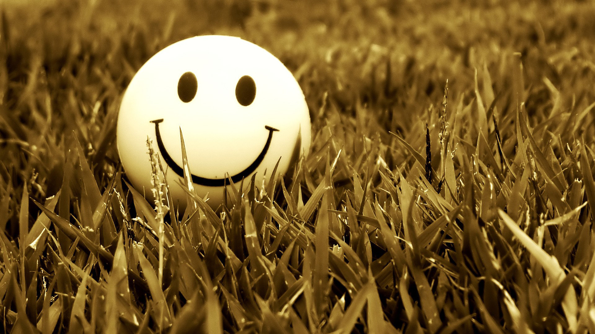 High resolution Smiley hd 1920x1080 background ID:64257 for desktop
