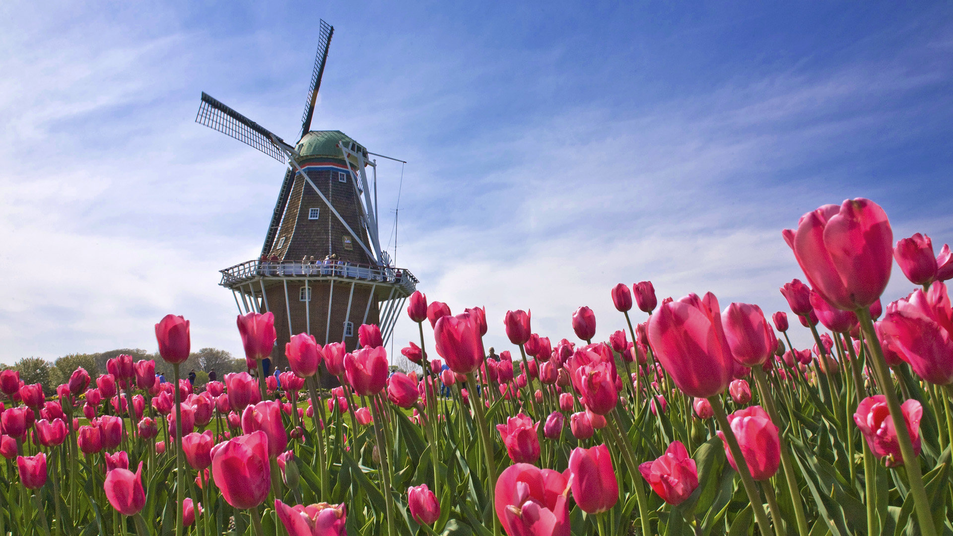 Free download Windmill background ID:482539 hd 1080p for computer