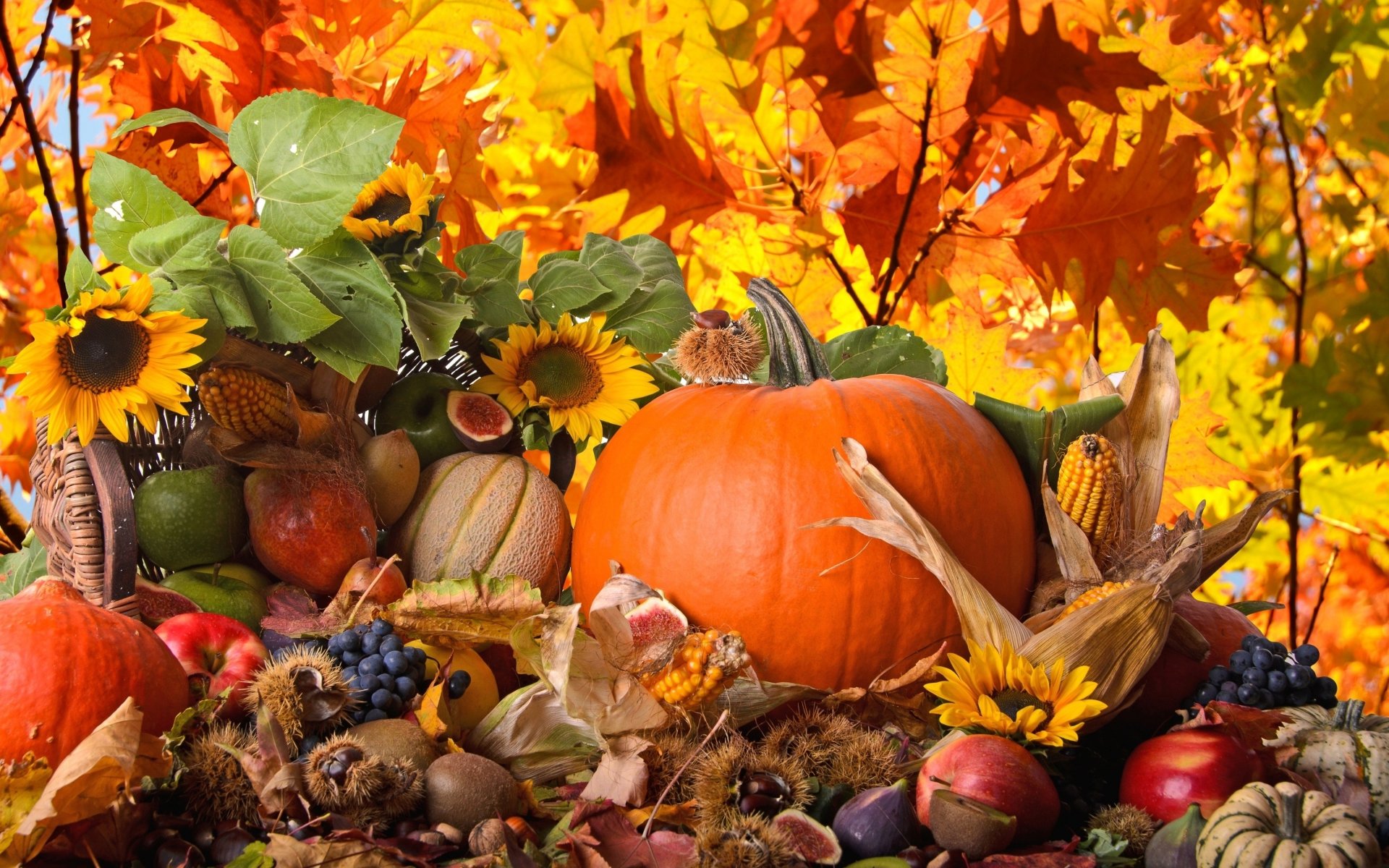Free download Thanksgiving background ID:144651 hd 1920x1200 for PC