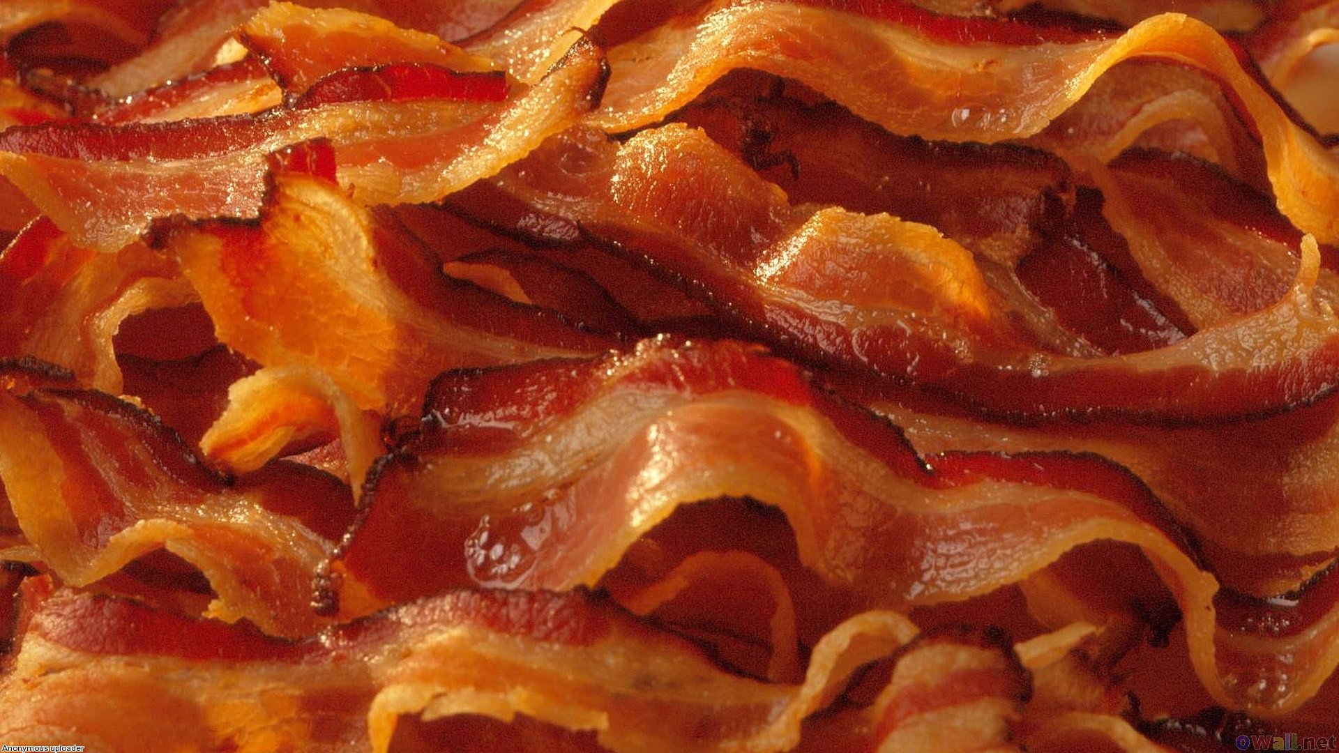Free download Bacon wallpaper ID:81332 hd 1920x1080 for PC