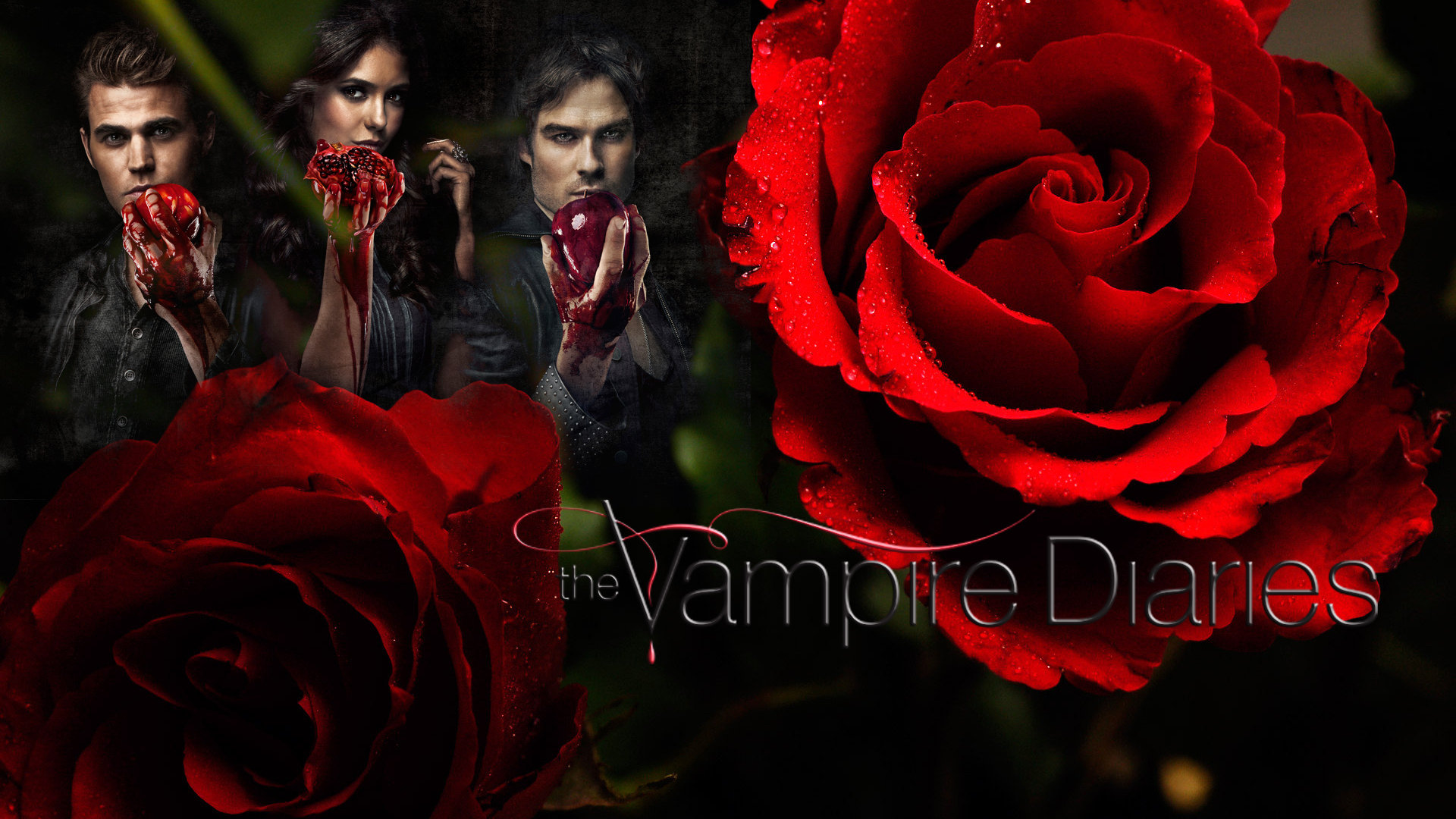 Best The Vampire Diaries background ID:464994 for High Resolution full hd computer
