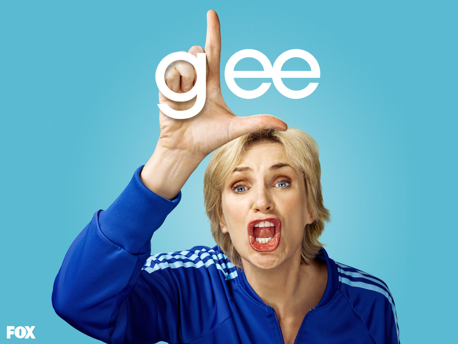 Best Glee background ID:269981 for High Resolution hd 1600x1200 computer