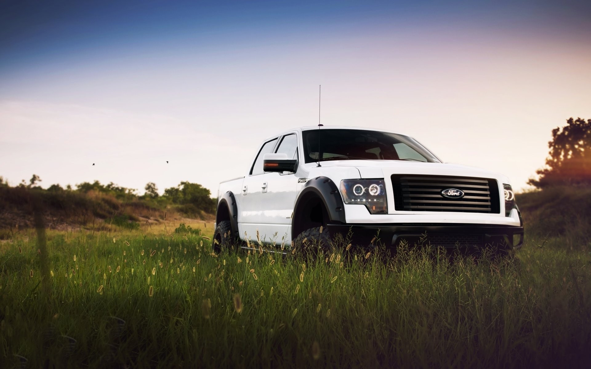 High resolution Ford F-150 hd 1920x1200 background ID:387528 for PC