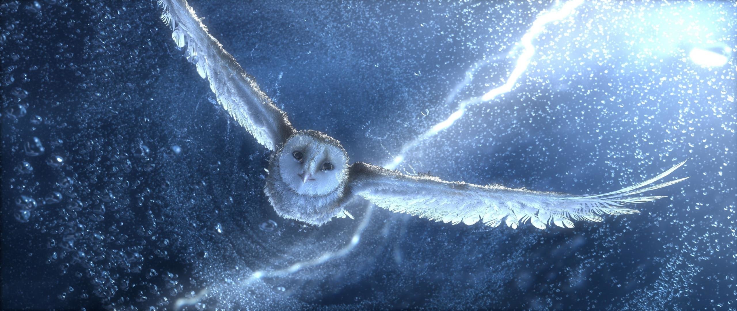 Best Legend Of The Guardians: The Owls Of Ga'Hoole background ID:54449 for High Resolution hd 2560x1080 computer