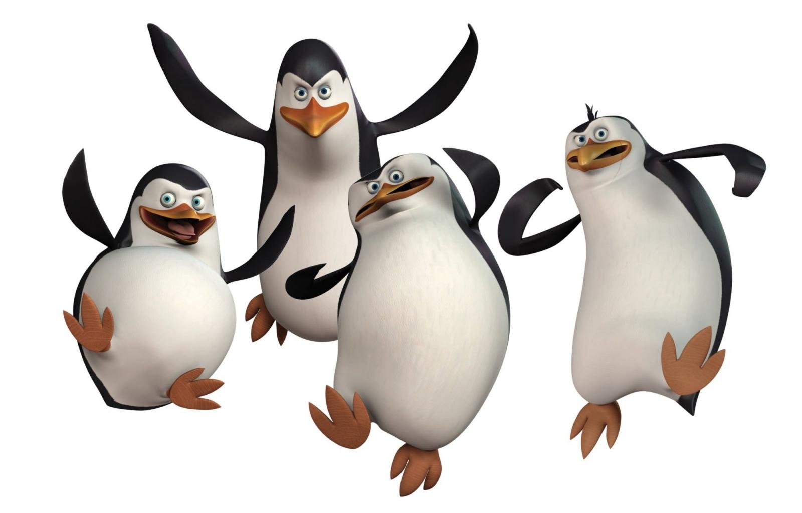 High resolution Penguins Of Madagascar hd 1600x1024 background ID:385314 for PC