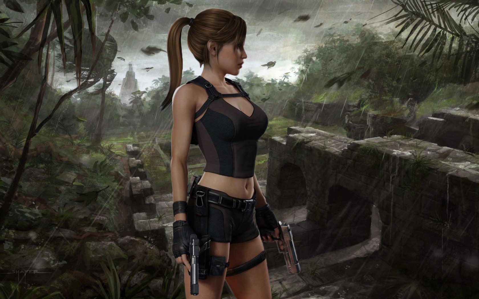 Free download Tomb Raider (Lara Croft) background ID:437285 hd 1680x1050 for computer