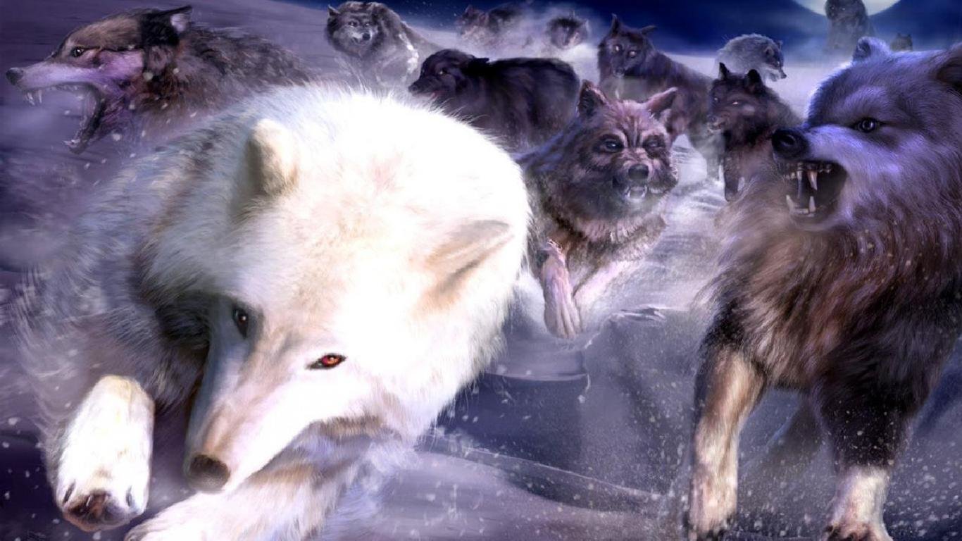 High resolution Wolf 1366x768 laptop wallpaper ID:117966 for PC