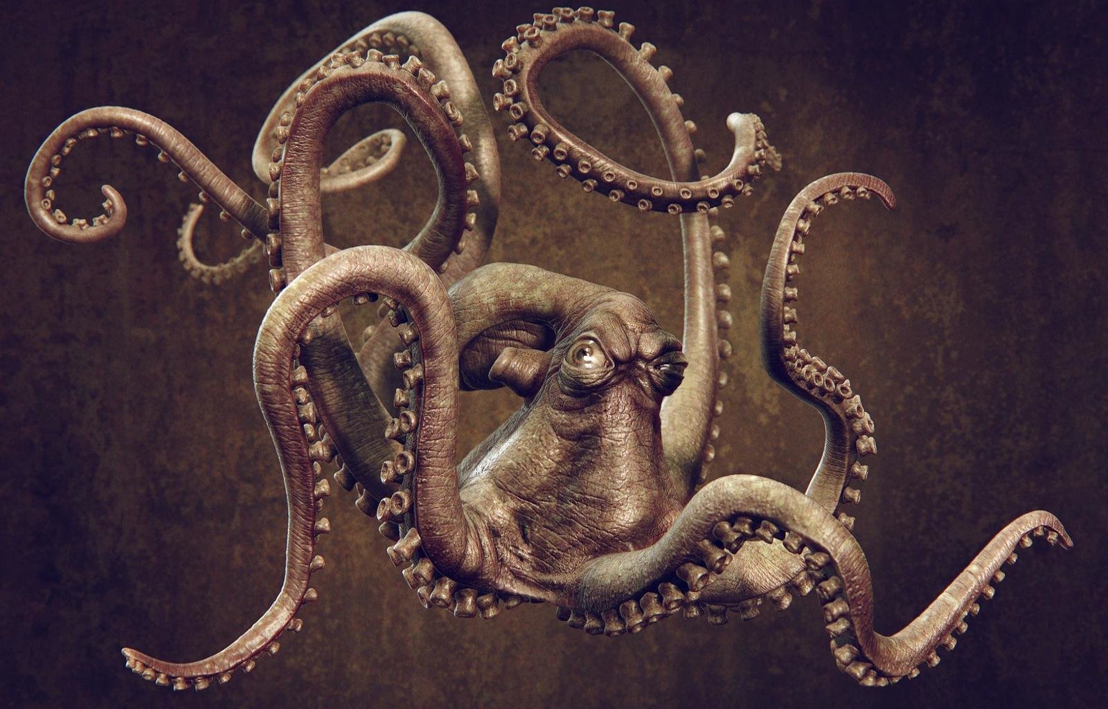 Download hd 1600x1024 Octopus computer background ID:350556 for free