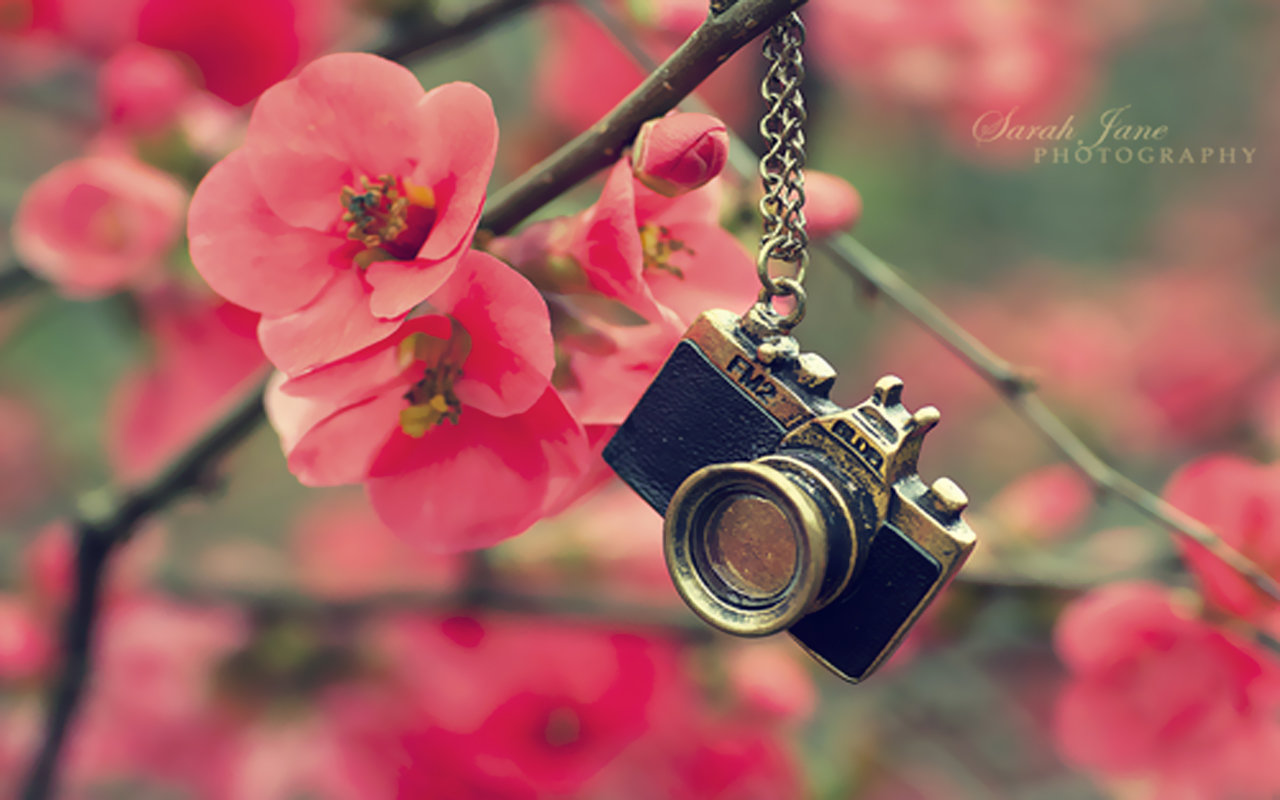Awesome Camera free wallpaper ID:191005 for hd 1280x800 computer