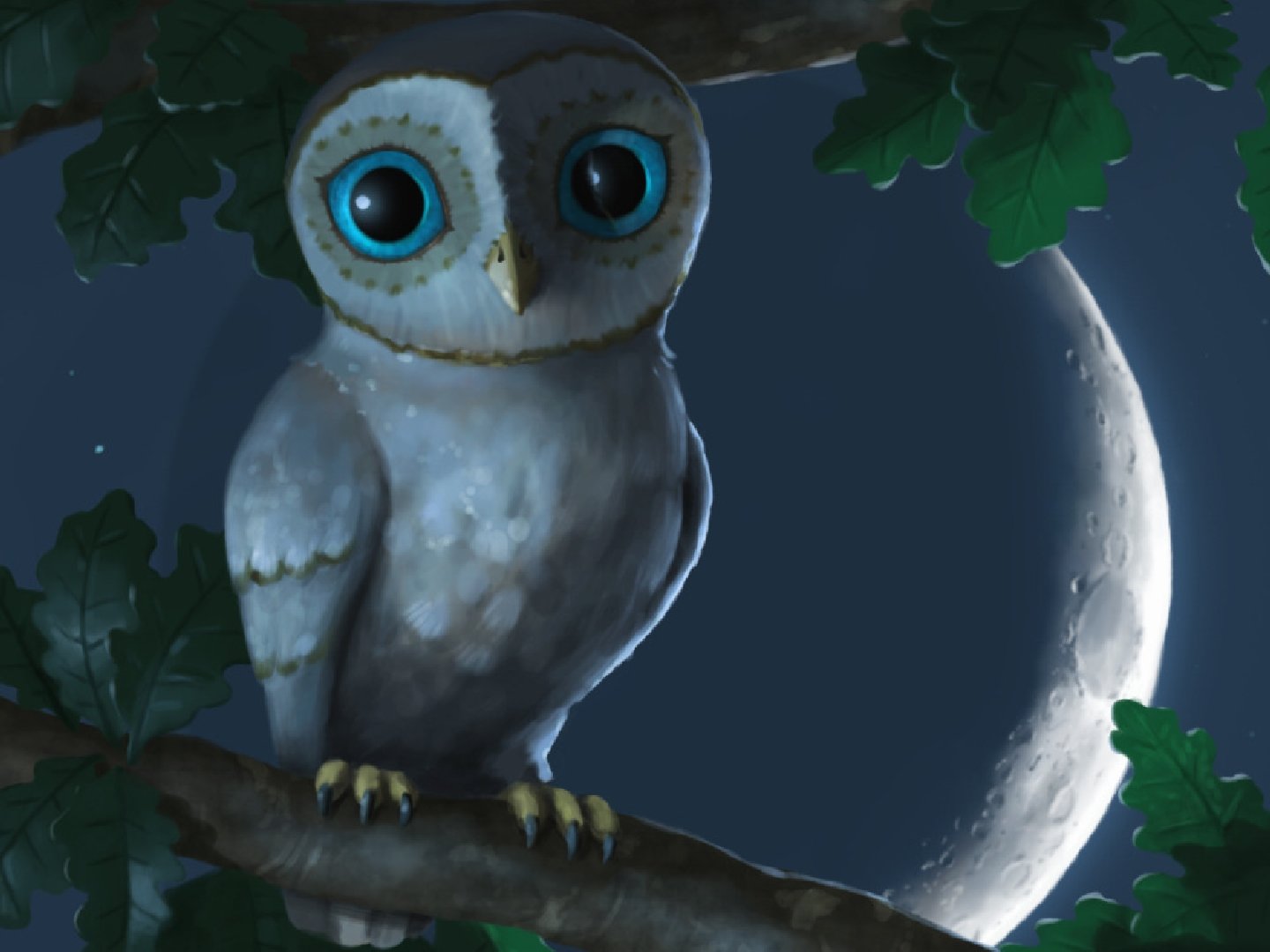 High resolution Owl hd 1440x1080 wallpaper ID:237188 for PC