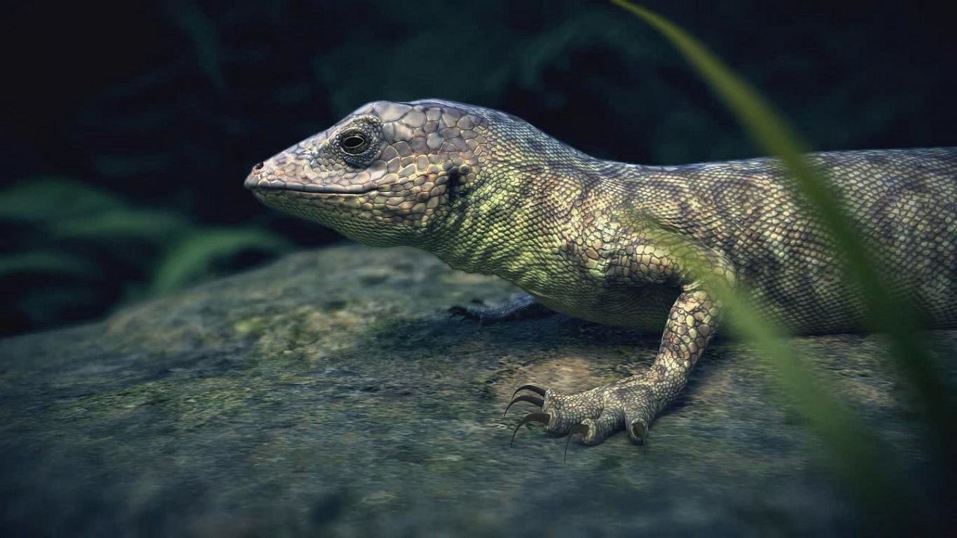 Free Lizard high quality background ID:443988 for 1366x768 laptop computer