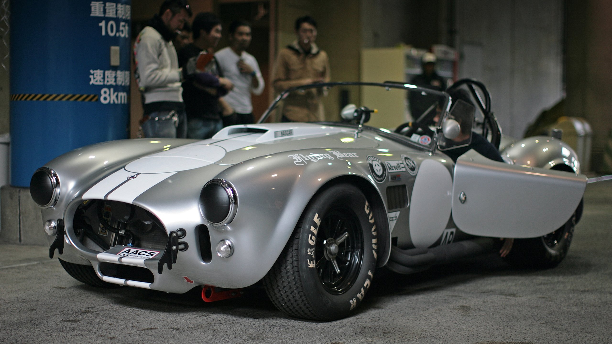 High resolution AC Cobra (Shelby) hd 2560x1440 wallpaper ID:375209 for PC