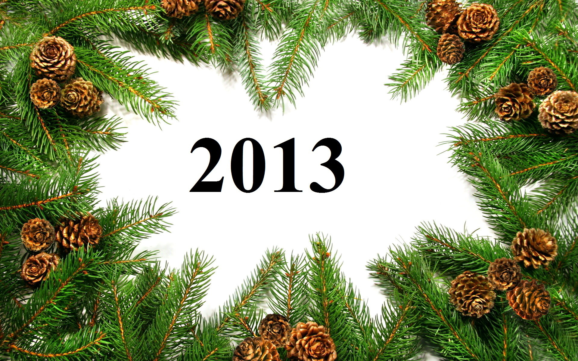 Download hd 1920x1200 New Year 2013 desktop background ID:115025 for free