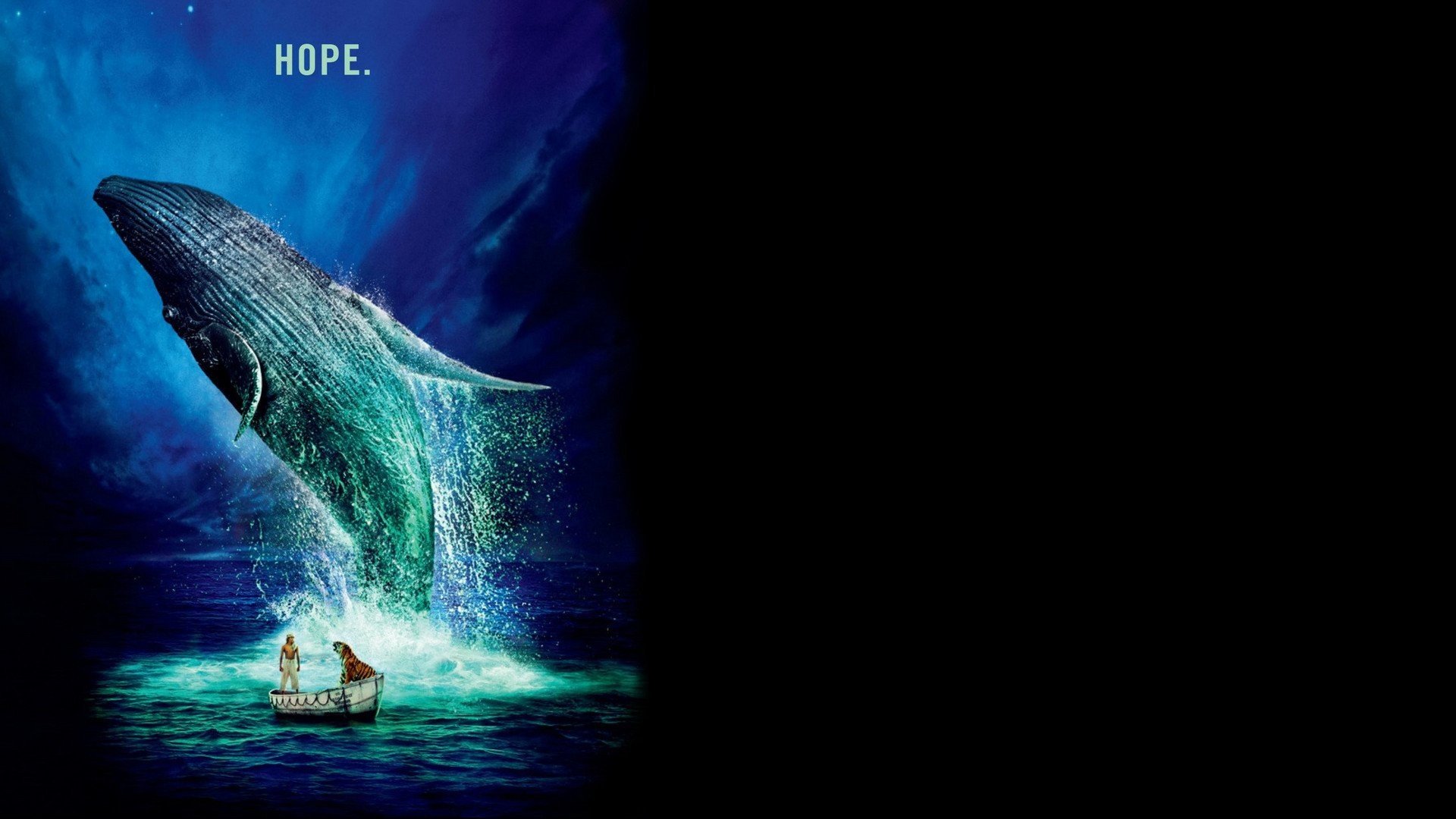 Free Life Of Pi high quality background ID:363572 for full hd 1080p computer