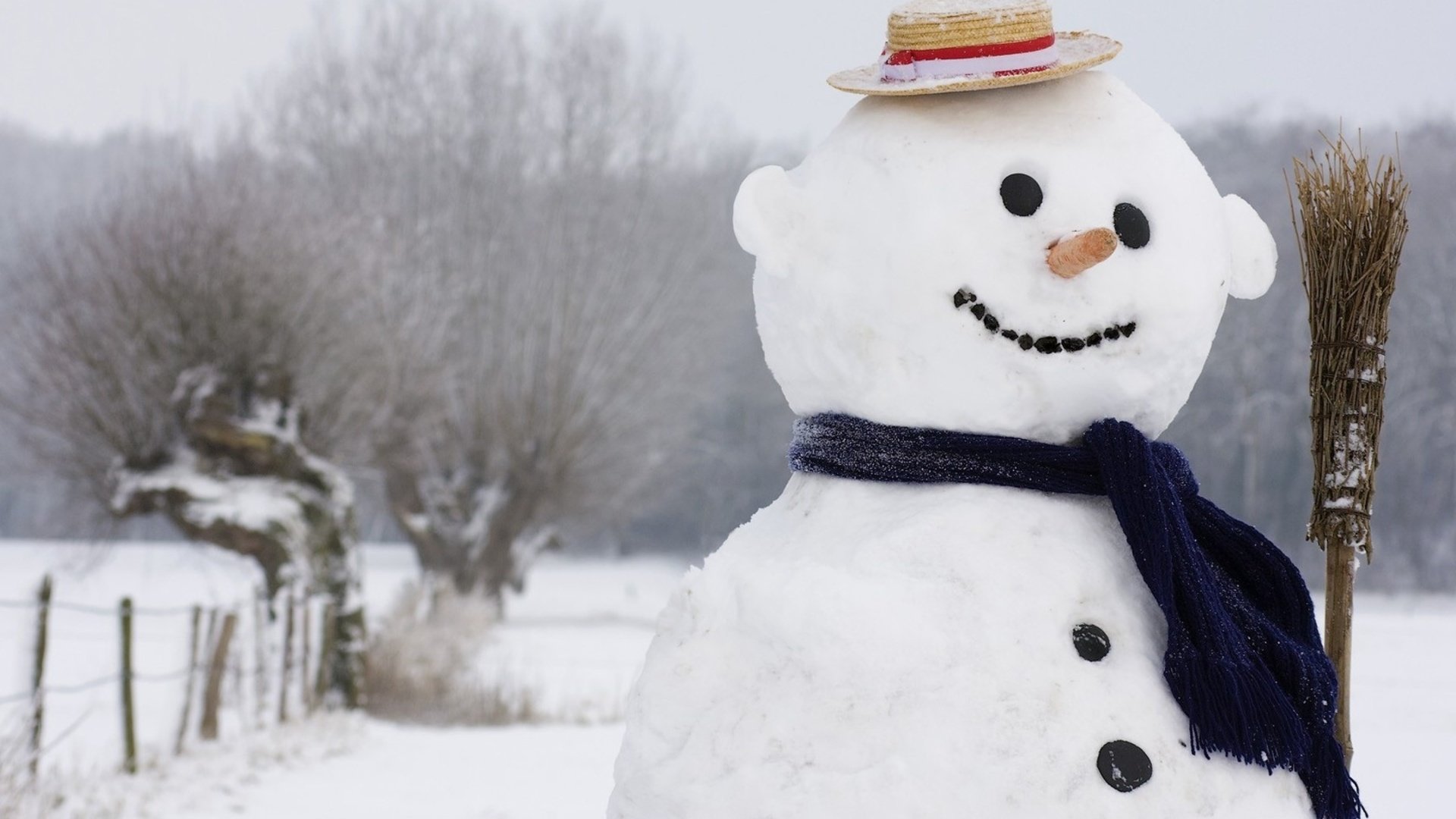 Awesome Snowman free wallpaper ID:115575 for 1080p desktop