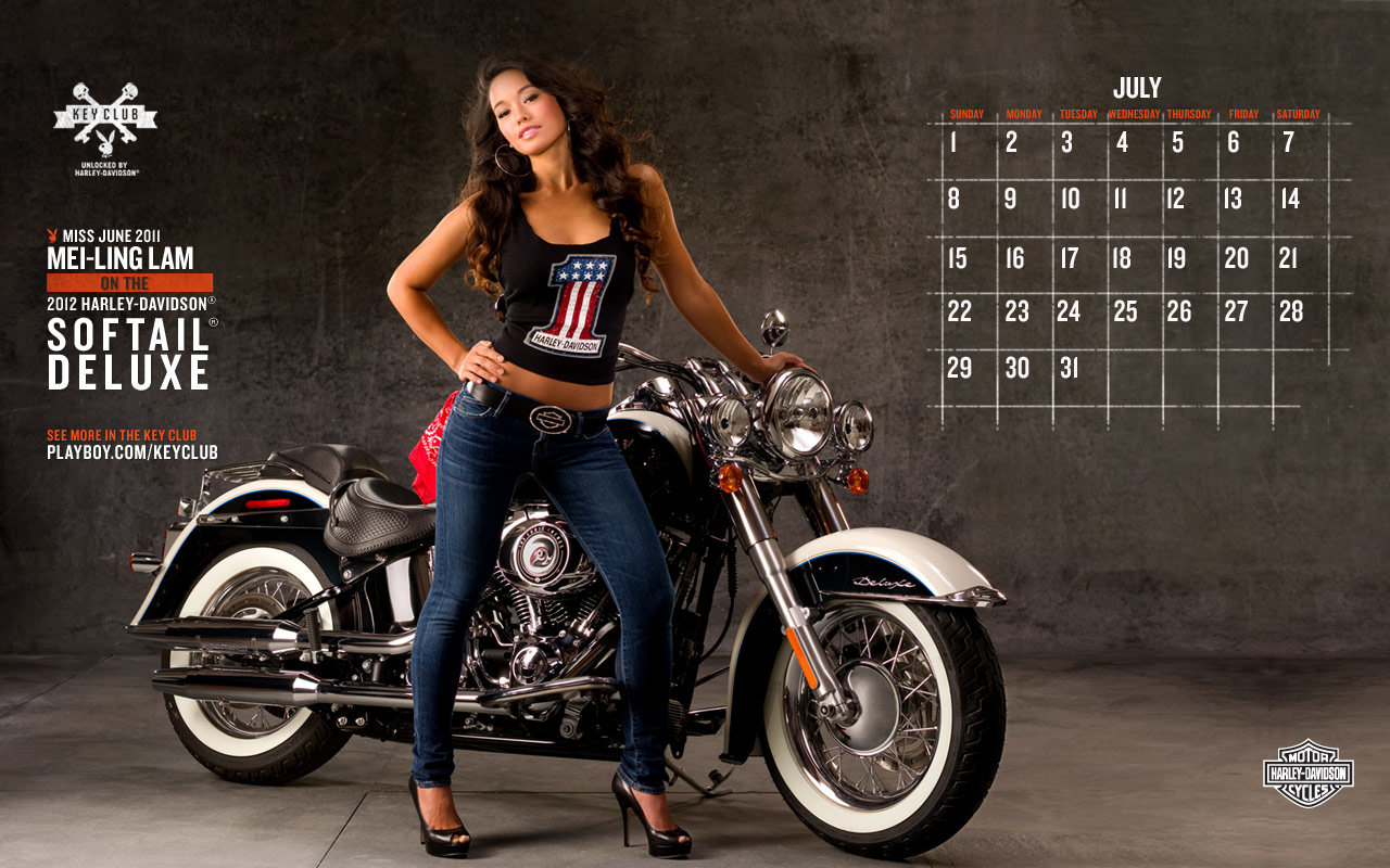 Free download Calendar background ID:357059 hd 1280x800 for PC