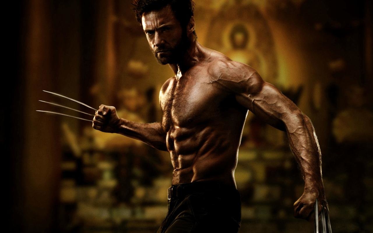 Free download The Wolverine background ID:164706 hd 1280x800 for computer