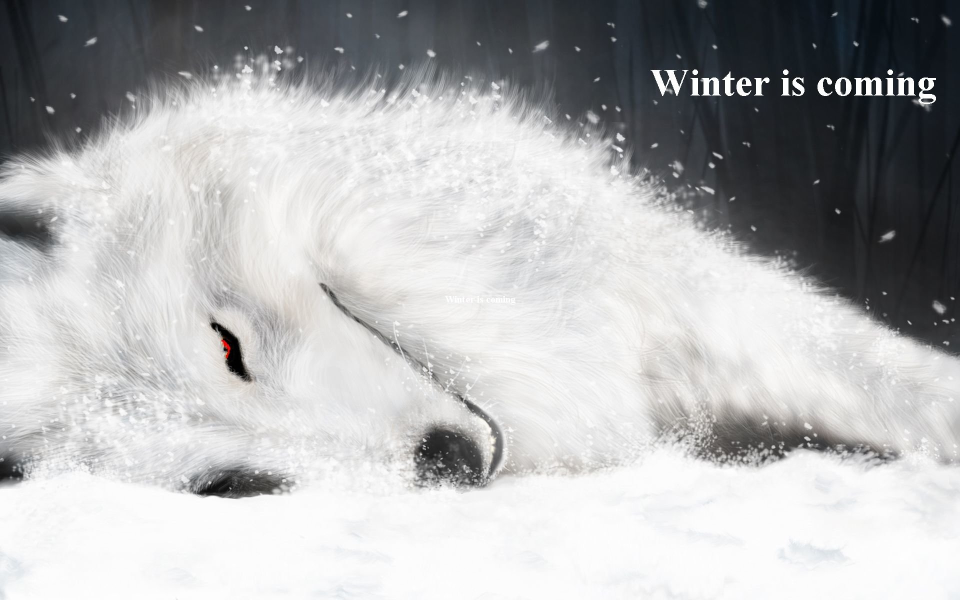 Free Wolf's Rain high quality background ID:294347 for hd 1920x1200 computer